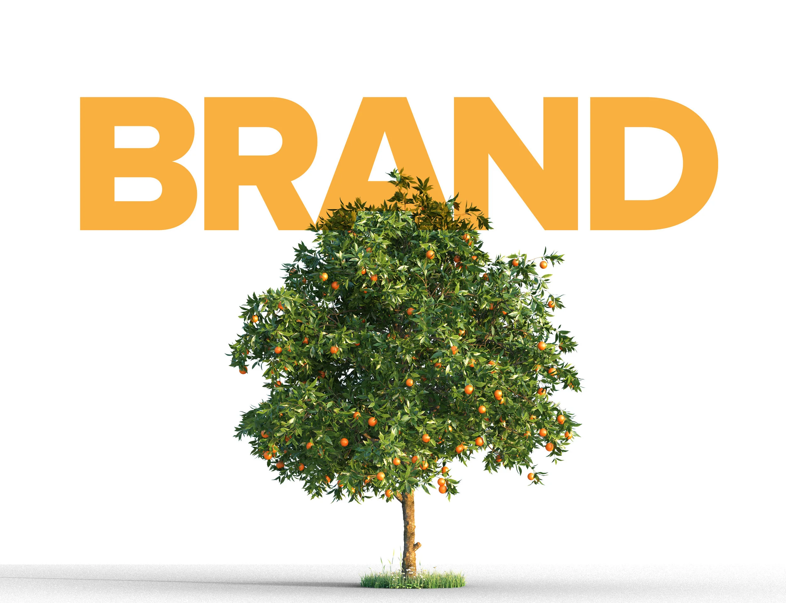 Elkins Retail Advertising