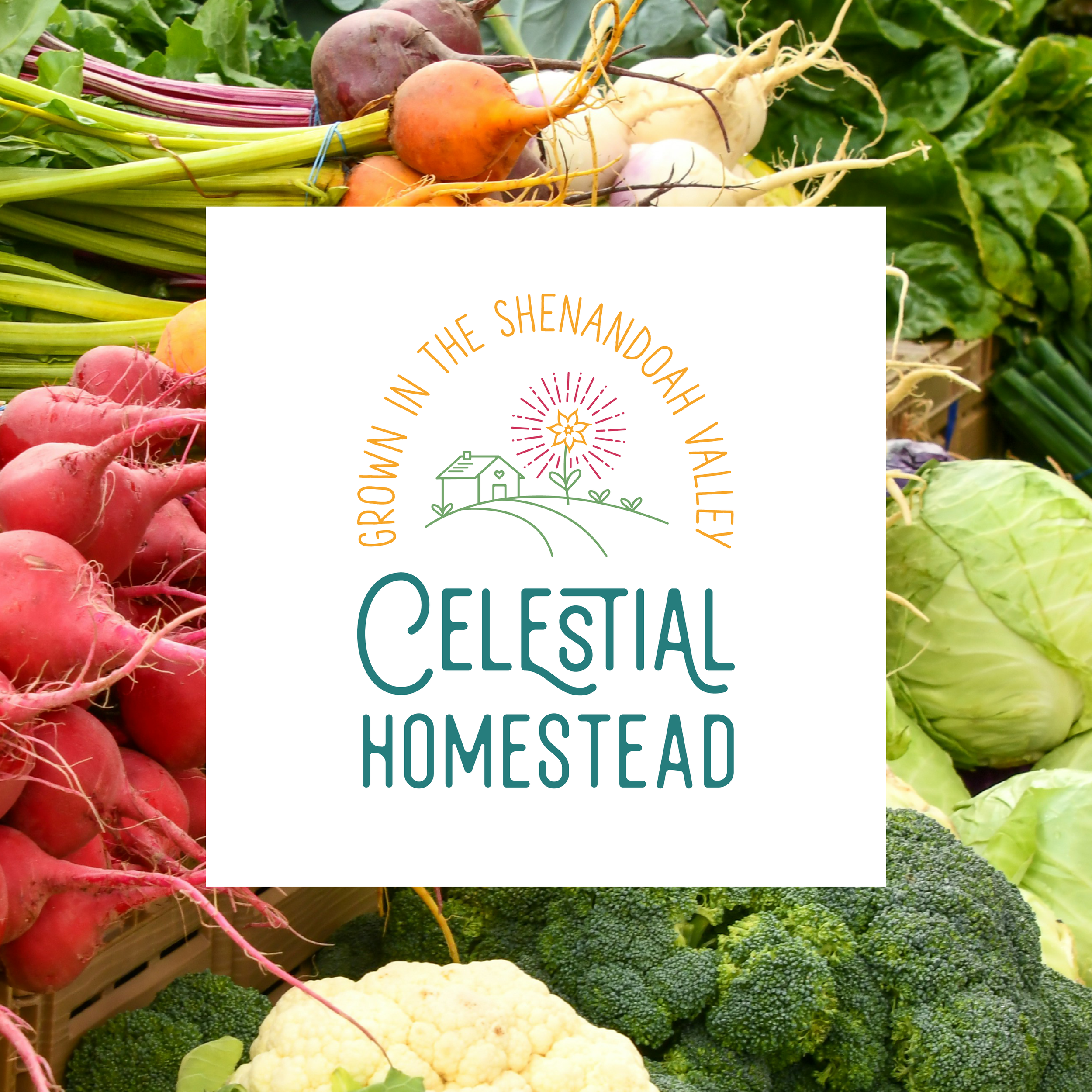 bailer-design-index-celestial-homestead3.png