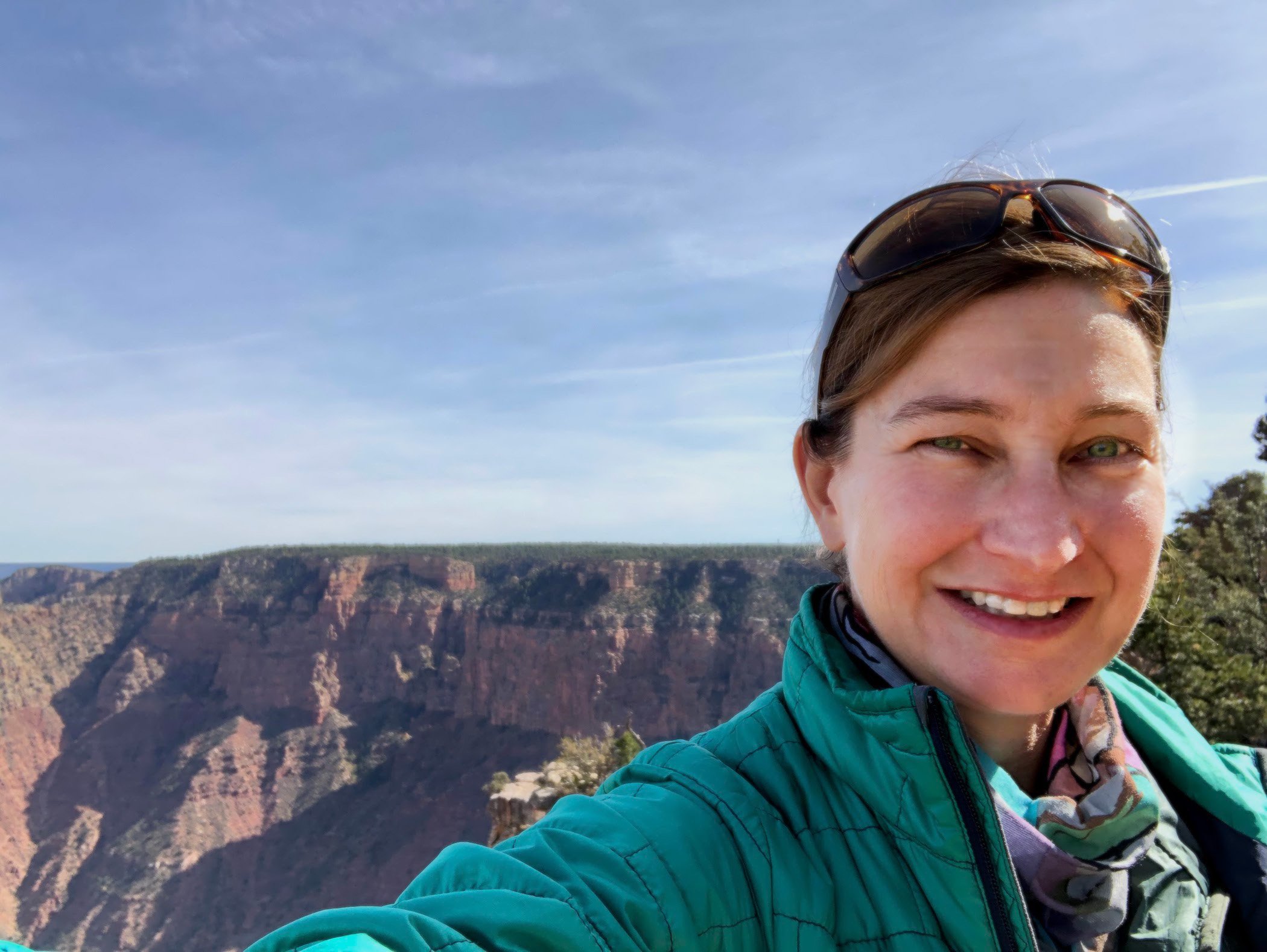 YOLONDA YOUNGS - OUR NATIONAL PARKS