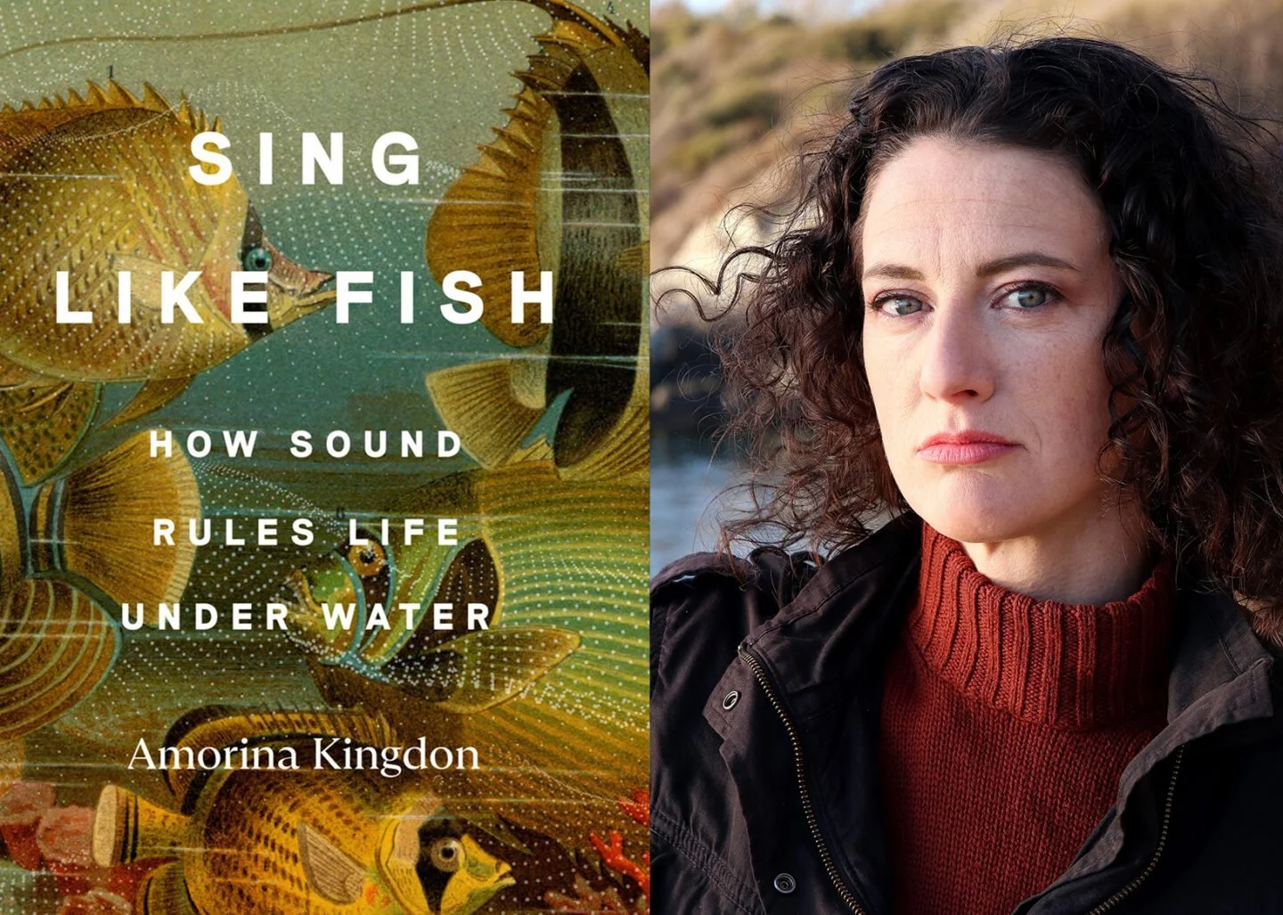 Episode 163: Amorina Kingdon - Sing Like Fish