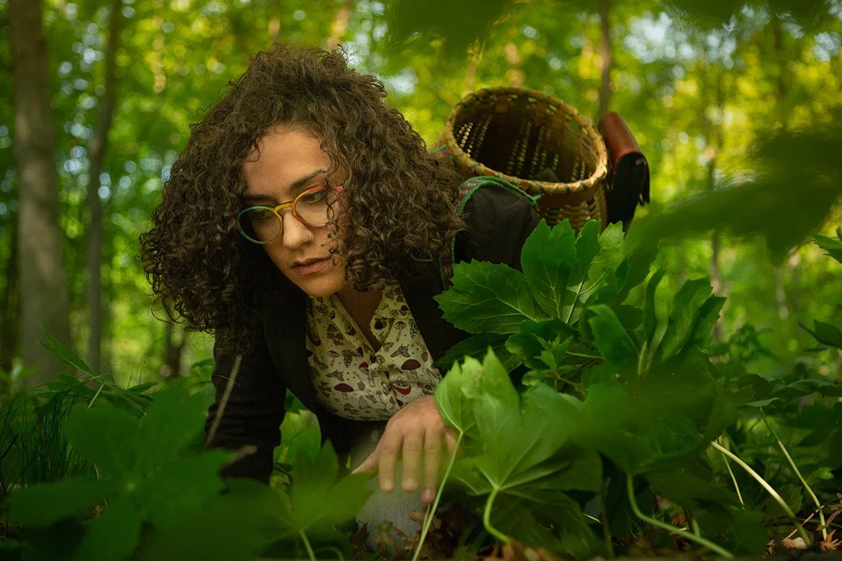 GABRIELLE CERBERVILLE: GATHERED