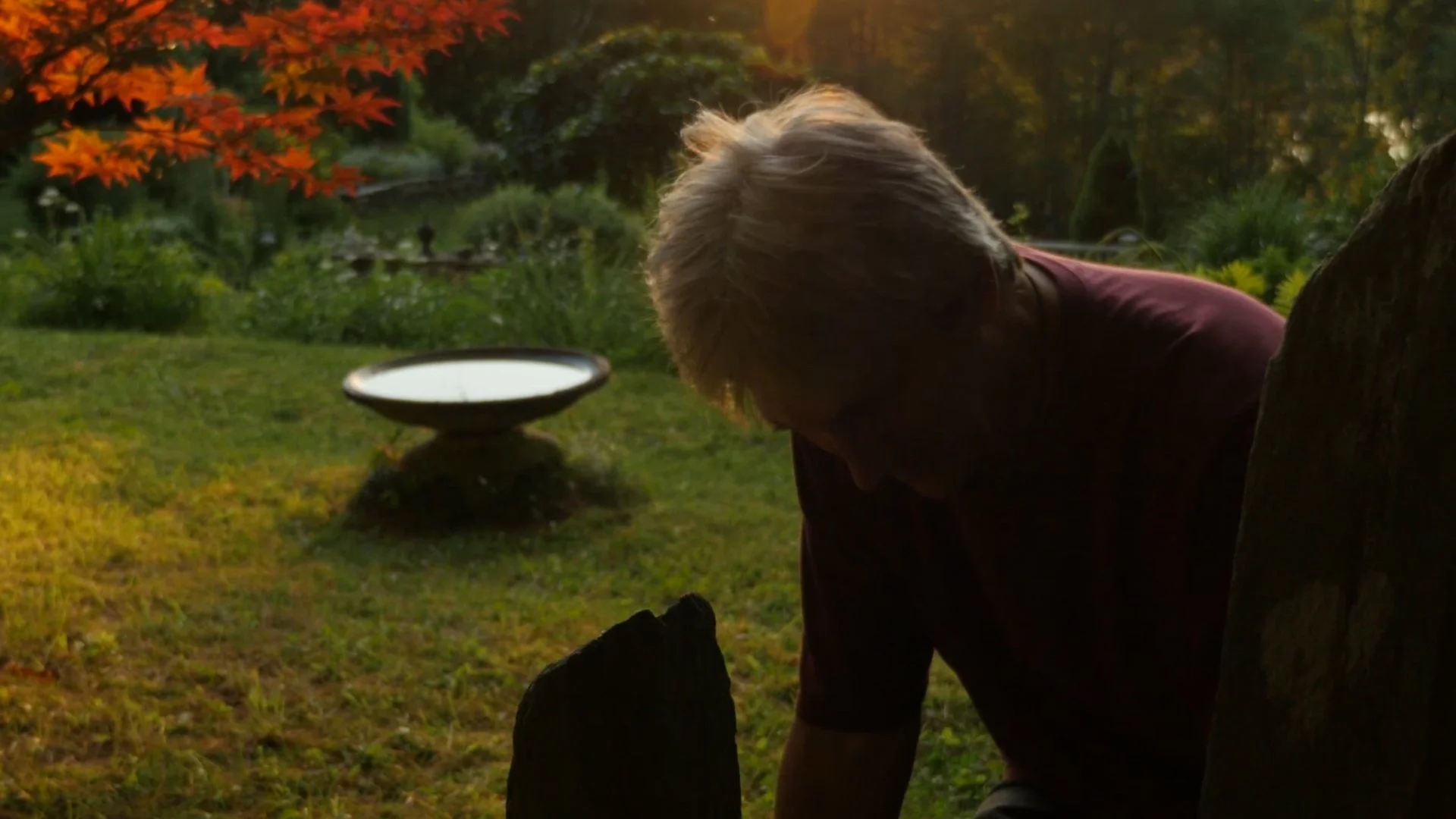 STEFAN VAN NORDEN: WE ARE NATURE