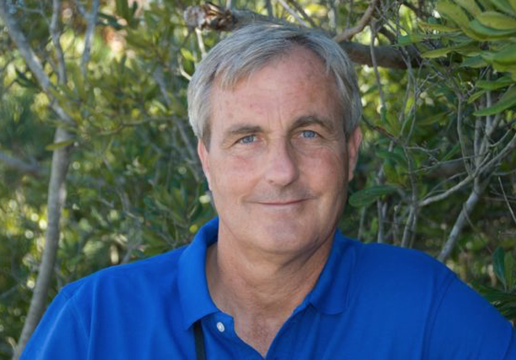 PETE DUNNE: UNDER THEIR WING