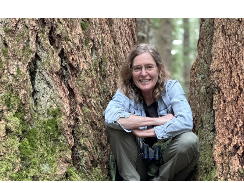 MARINA RICHIE: FEATHERED FOREST