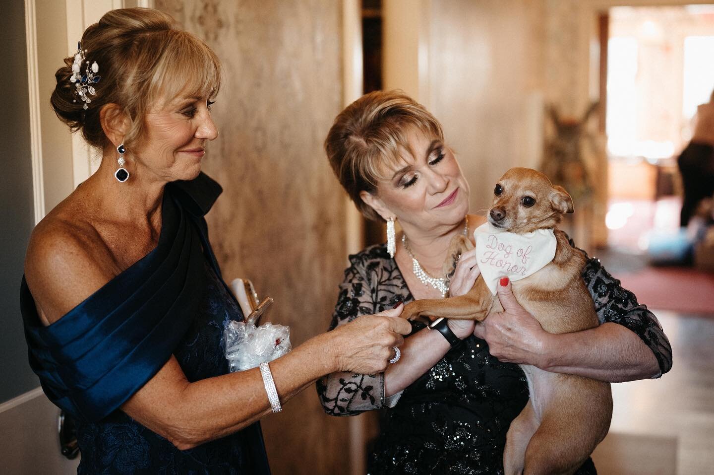 And a happy Mother&rsquo;s Day to my mother-in-law @janetnardo ❤️ This is my favorite photo 😂 our two moms with our fur baby!