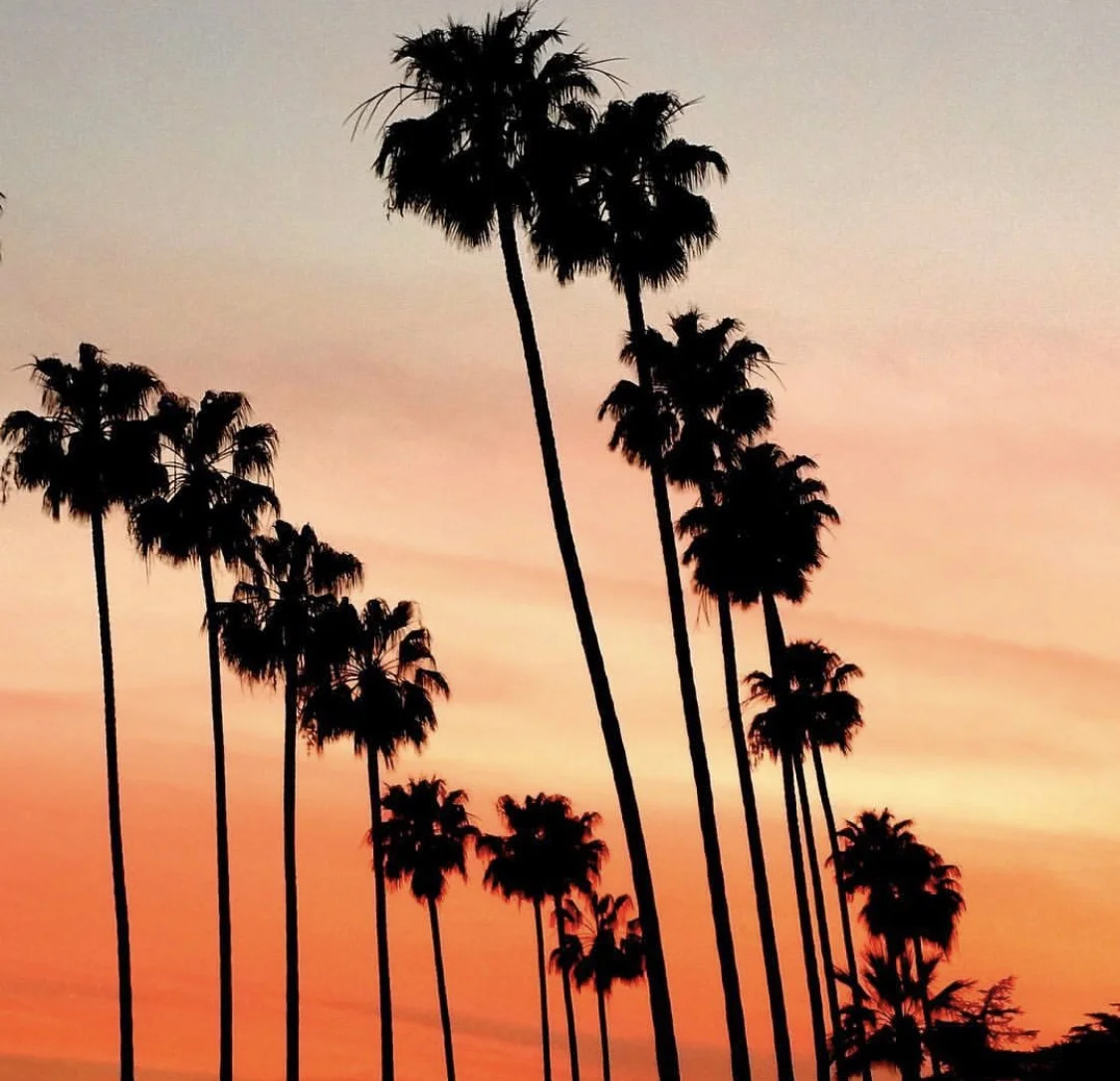 Content created for Platform & Mr. Bones Pumpkin Patch. 