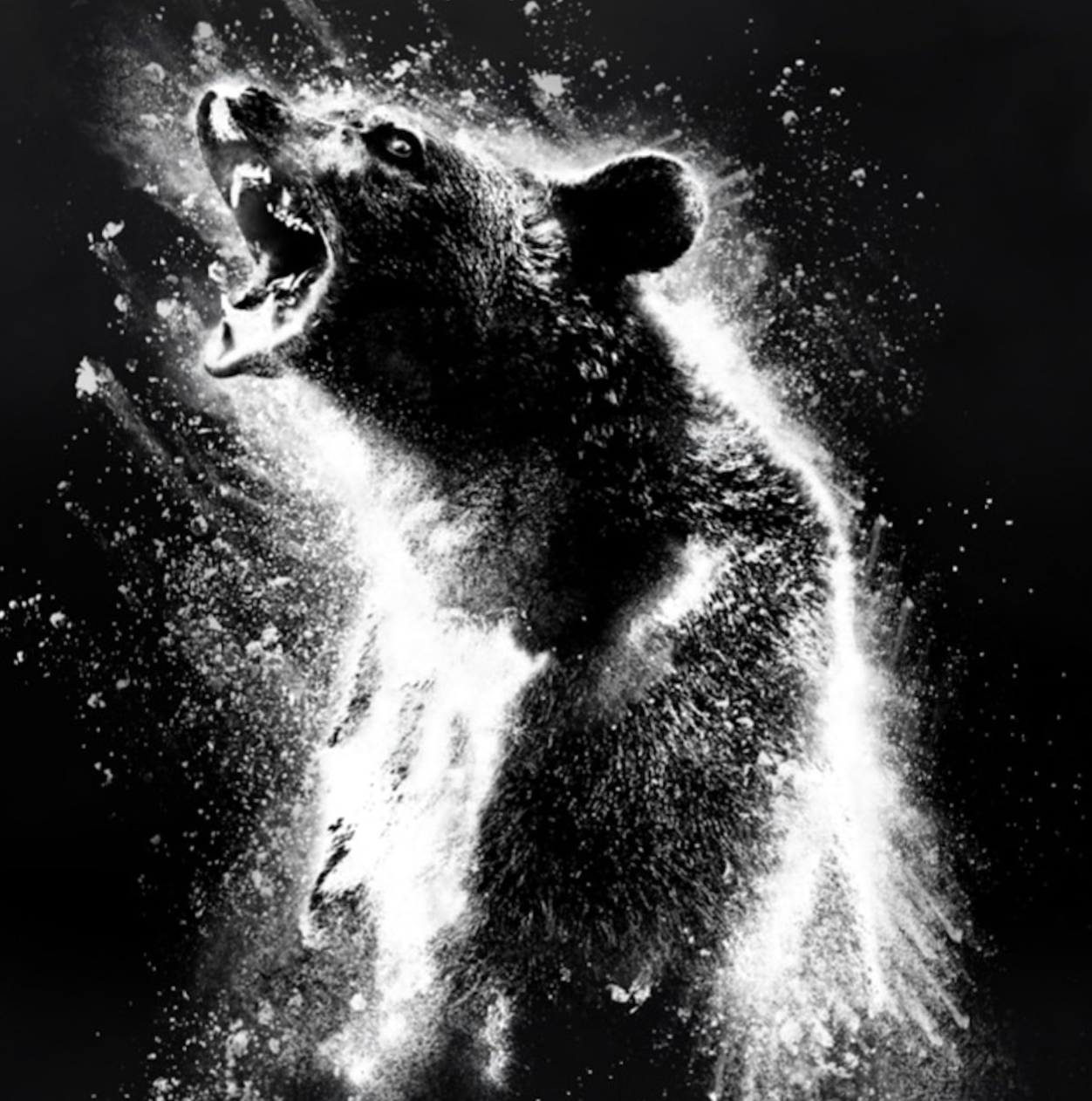 Cocaine Bear