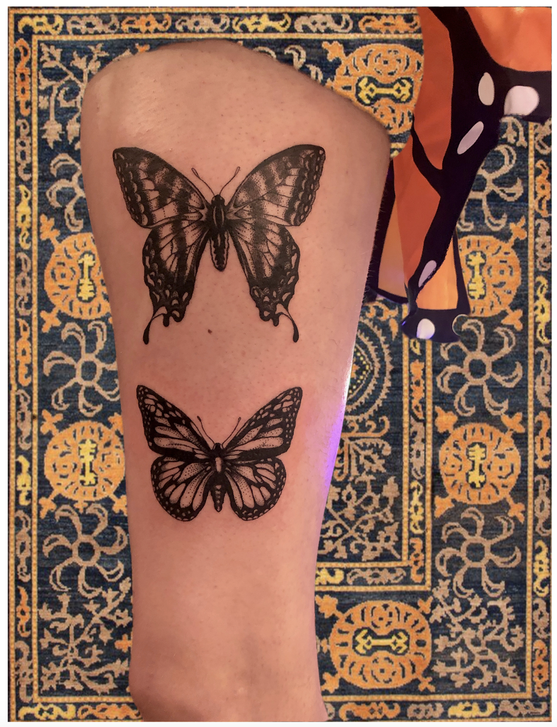 leg, butterflies.png
