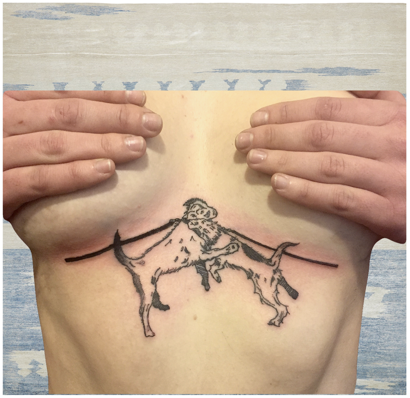chest,dogs.png
