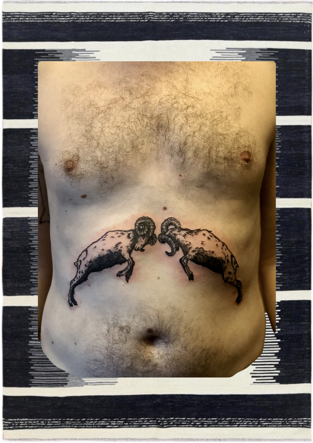 chest,aries.png