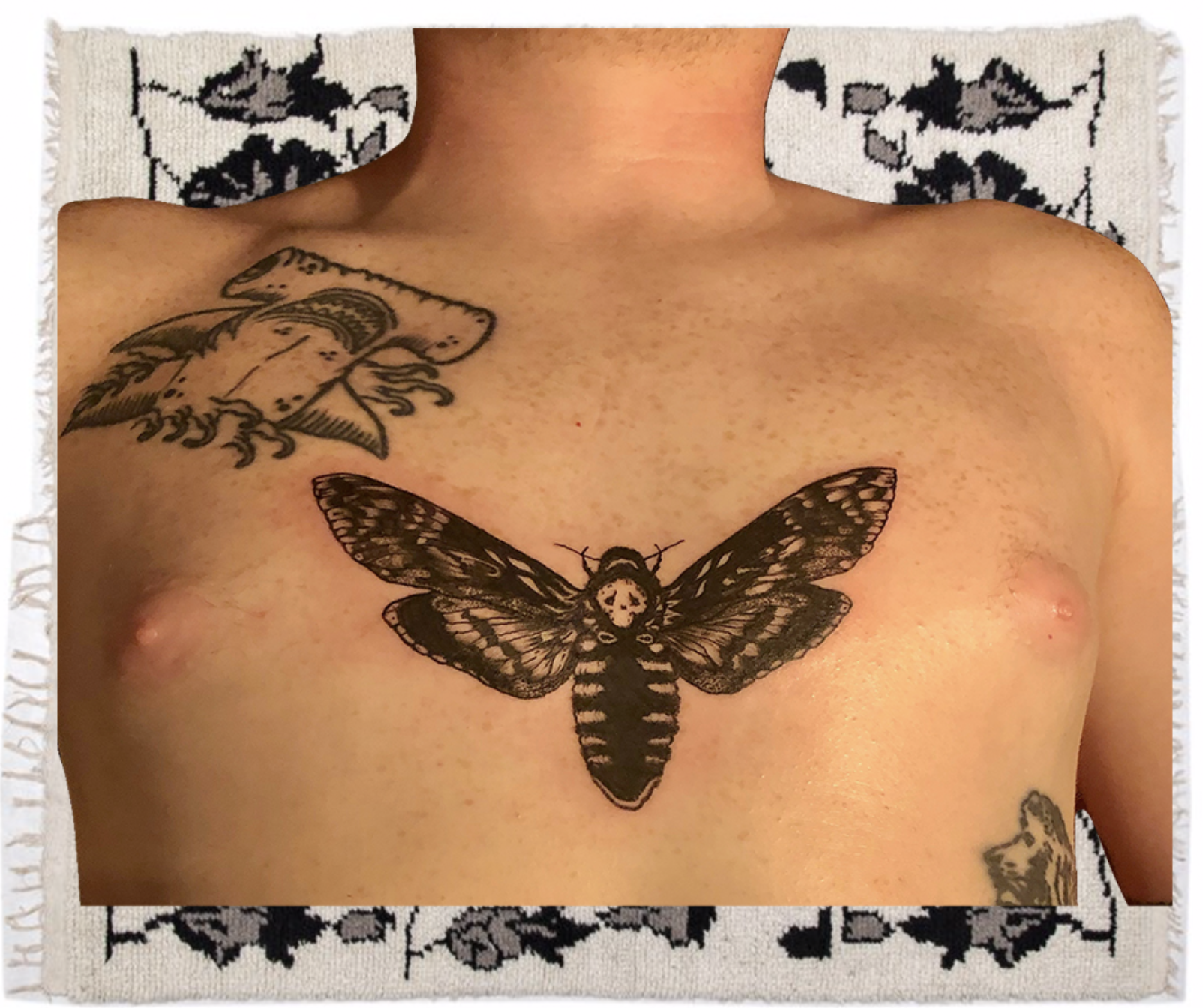 chest, moth.png