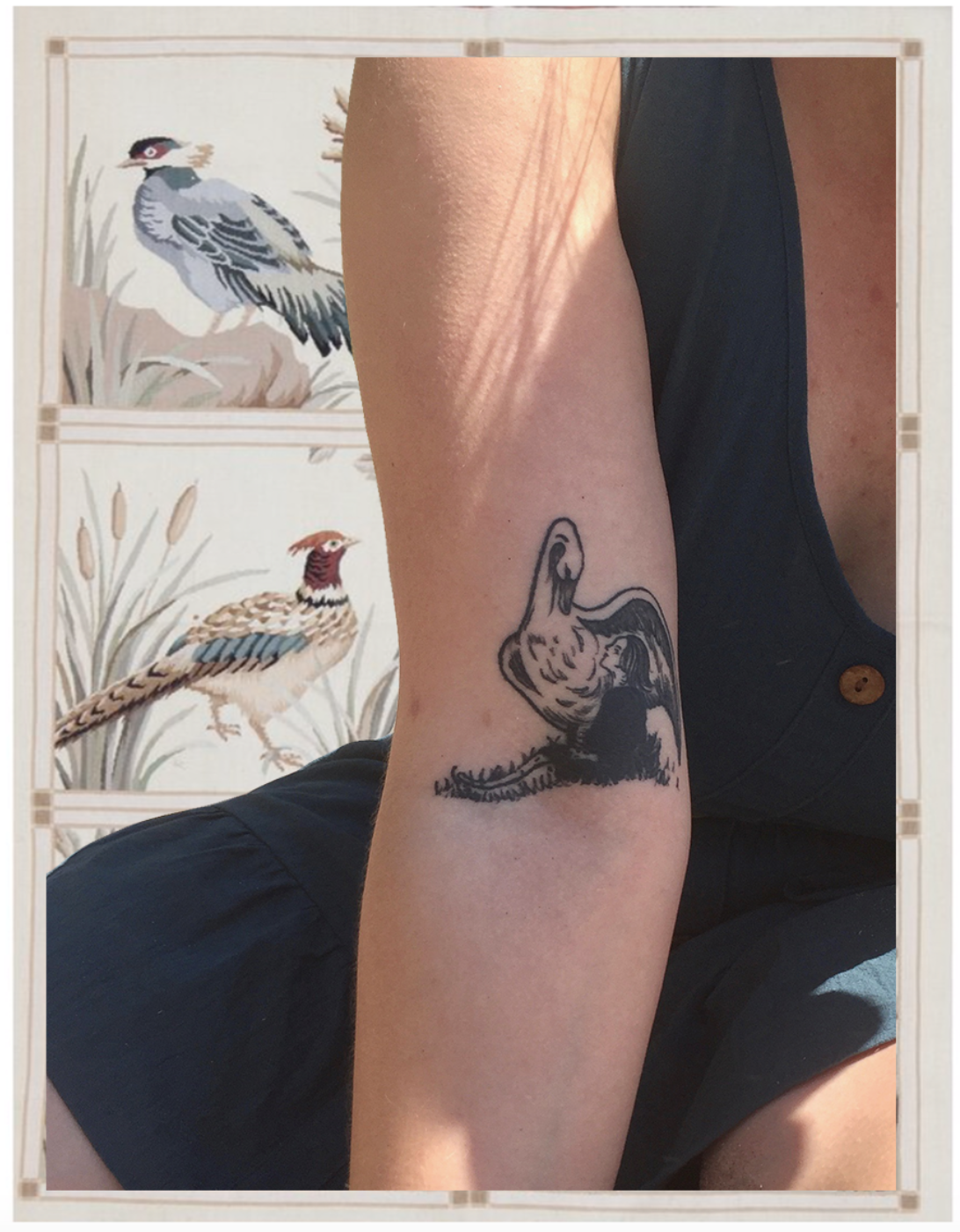 arm, swan.png