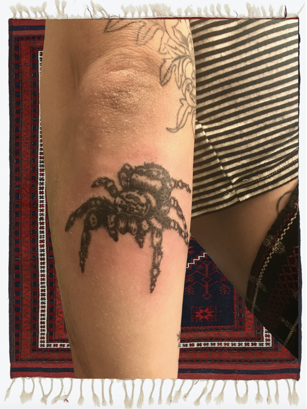 arm, spider.png