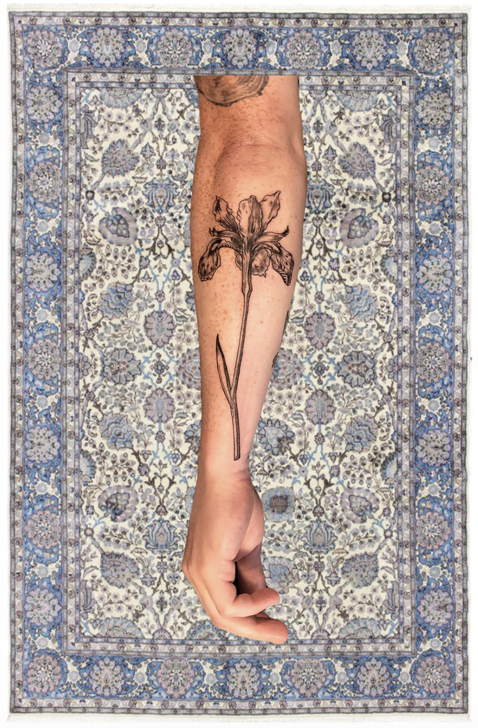 arm, iris.png