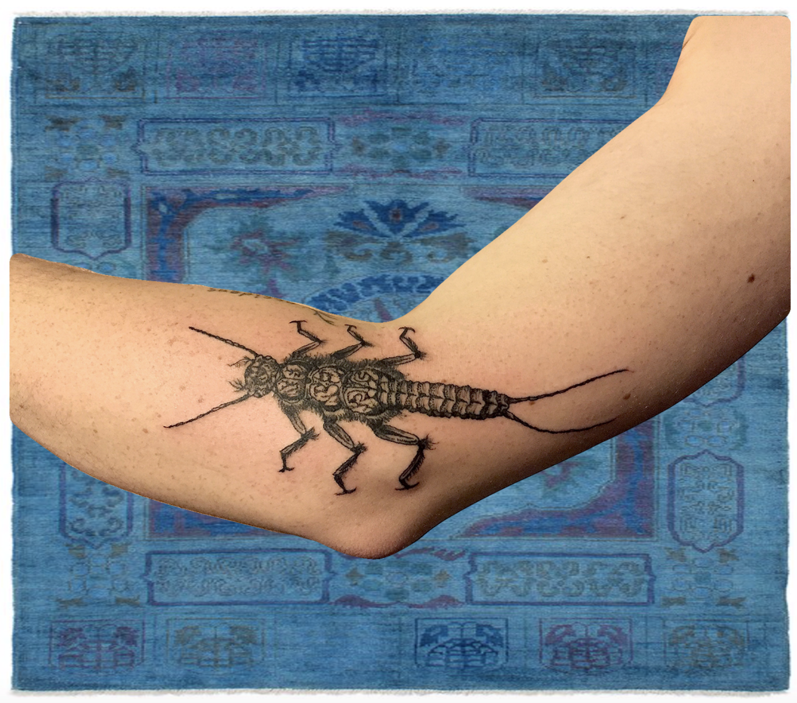 arm, bug.png