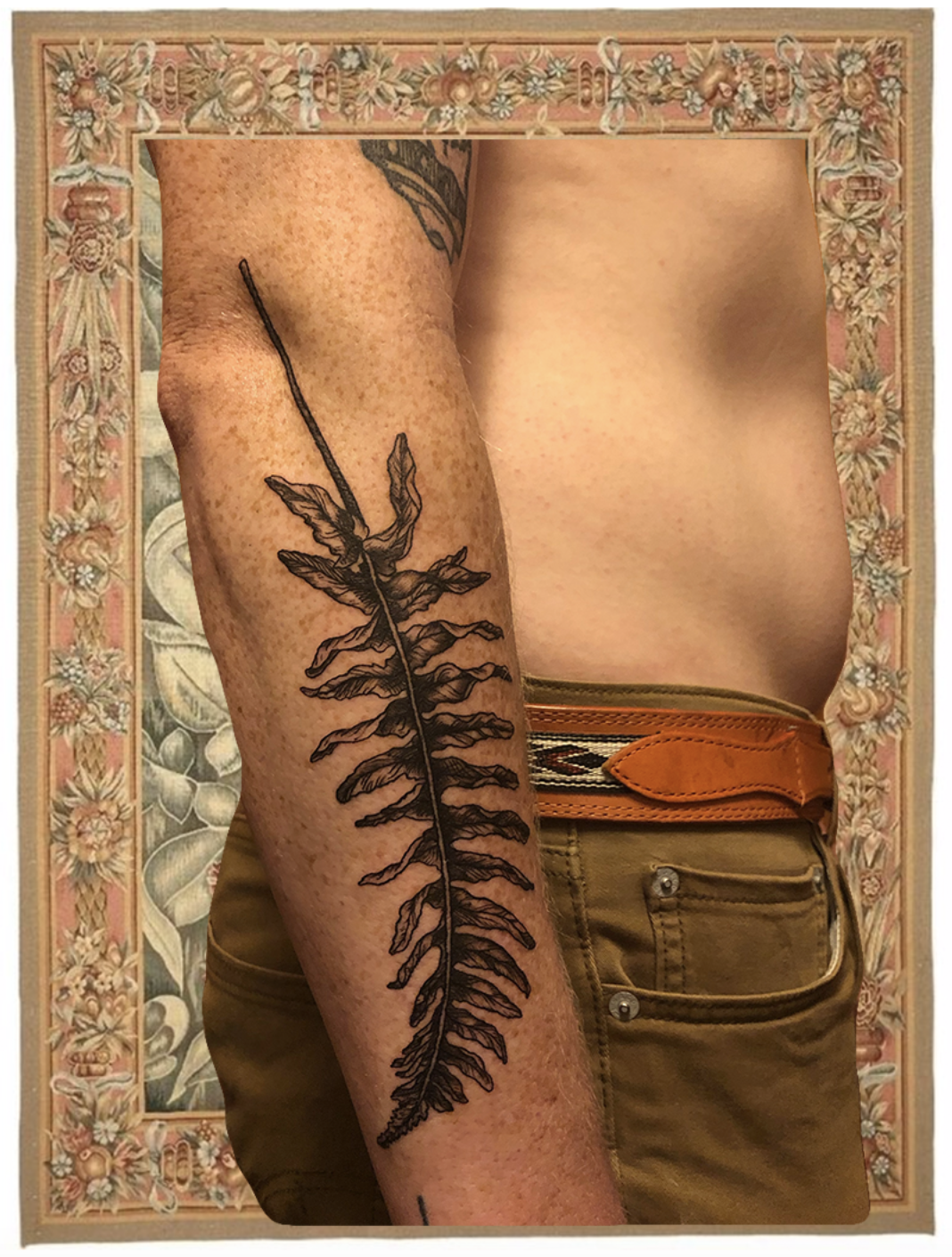 arm, fern.png