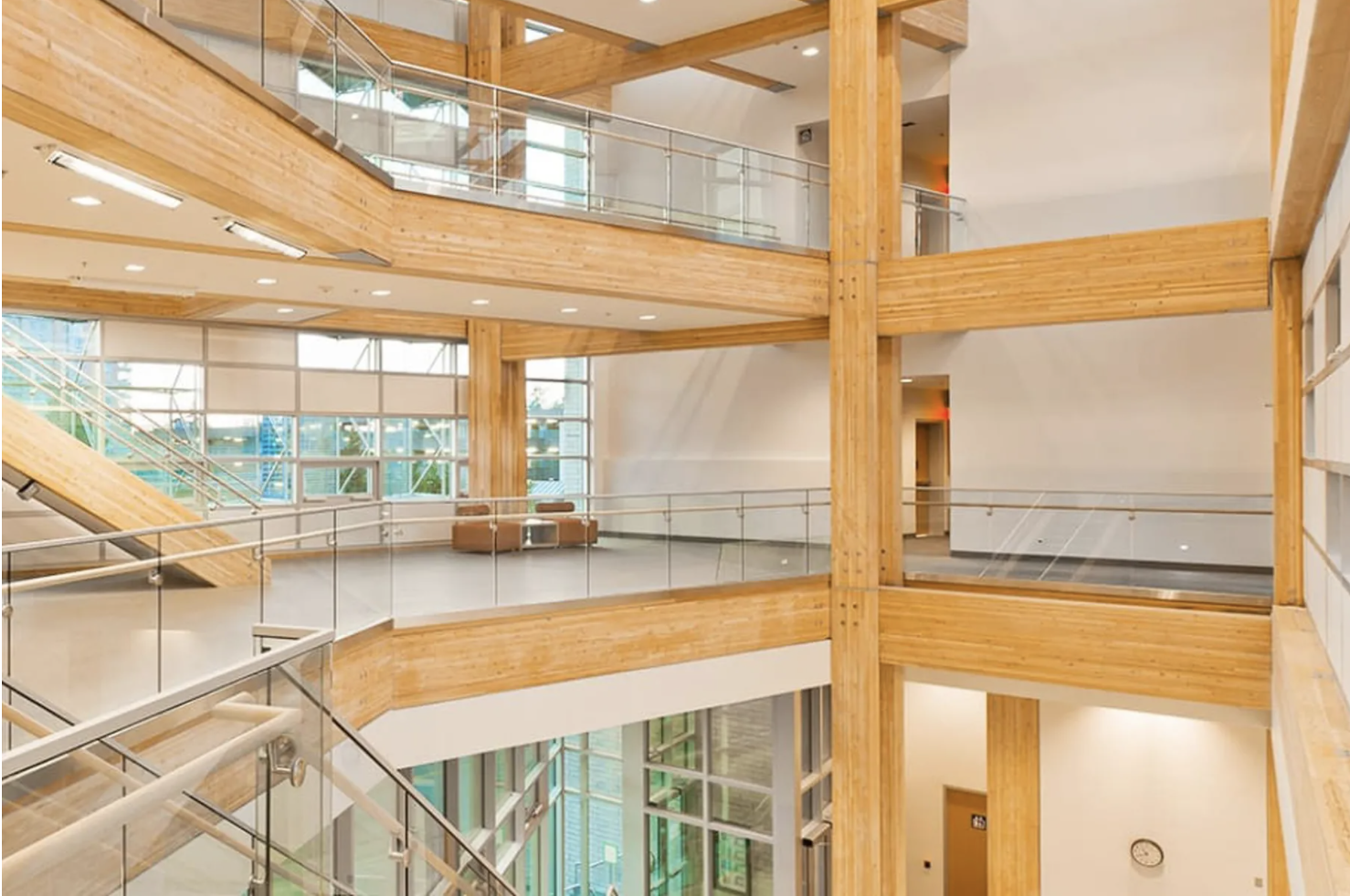 ARTICLE: The Hottest New Thing In Sustainable Building Is, Uh, Wood
