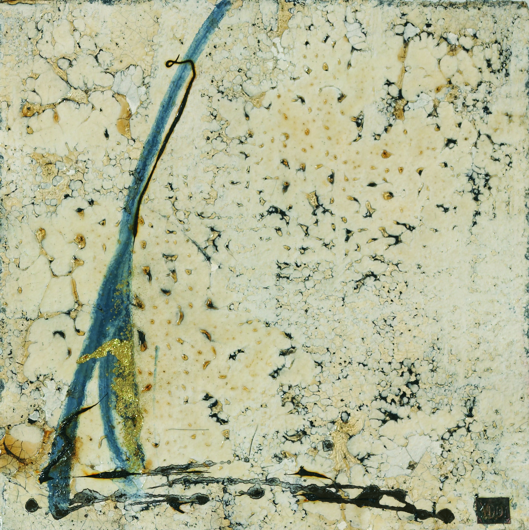 tailcat from back.jpg