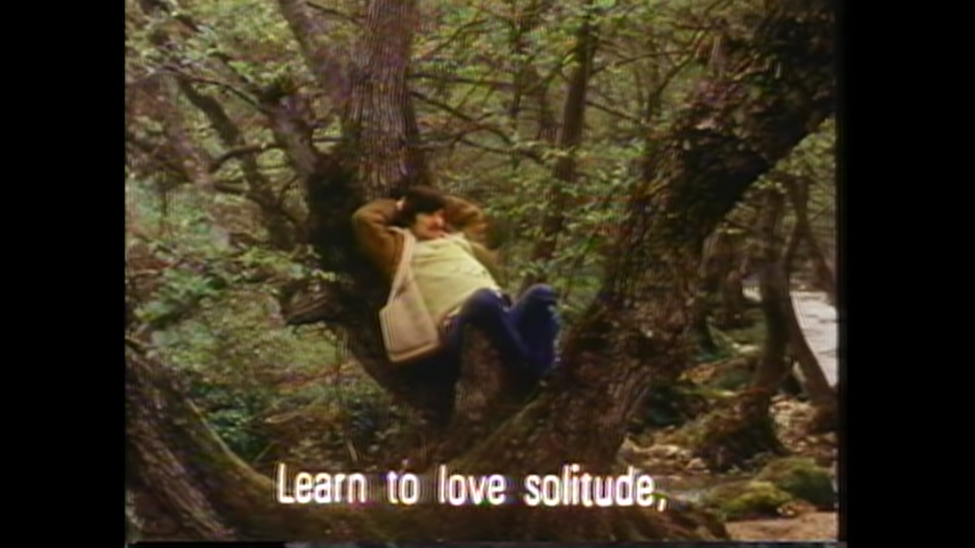Andrei Tarkovsky A Poet in the Cinema A-BitterSweet-Life  Love Solitude 1.png