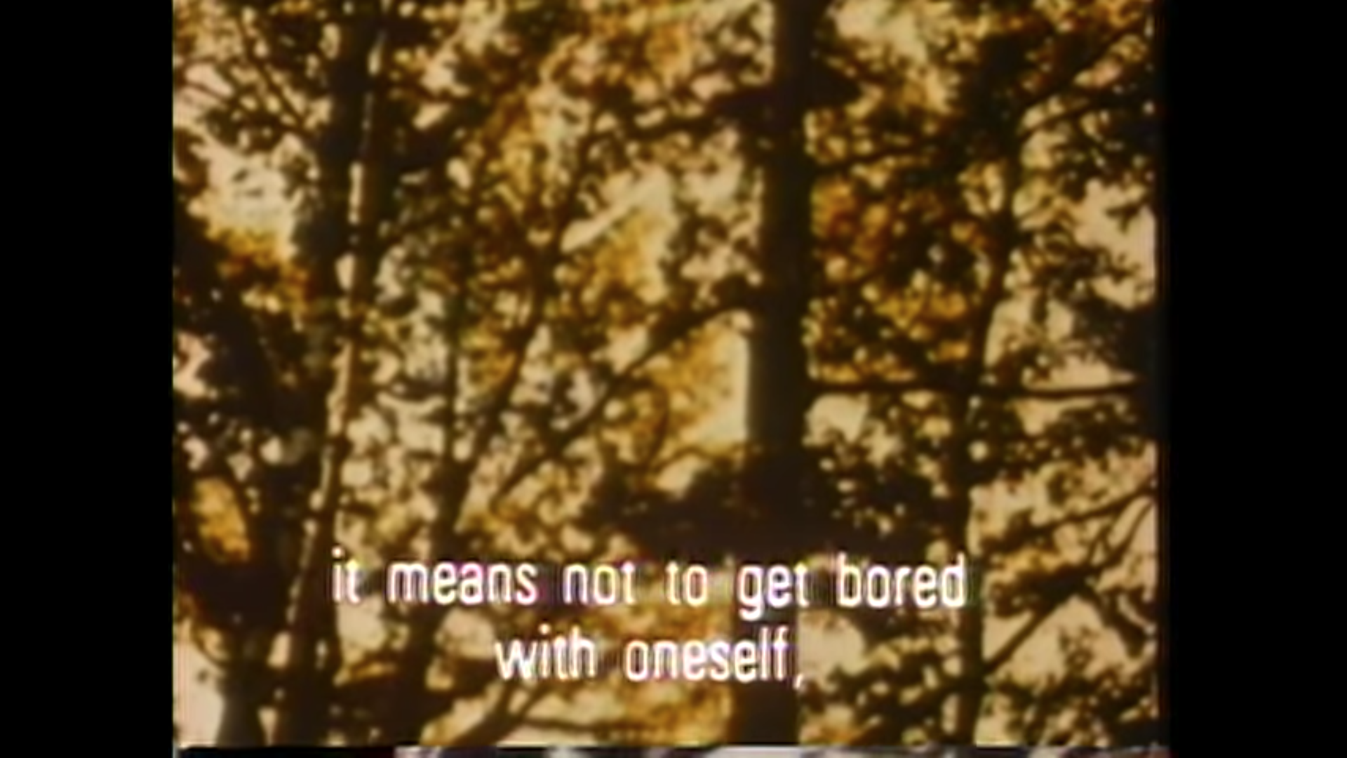Andrei Tarkovsky A Poet in the Cinema A-BitterSweet-Life  Love Solitude 9.png
