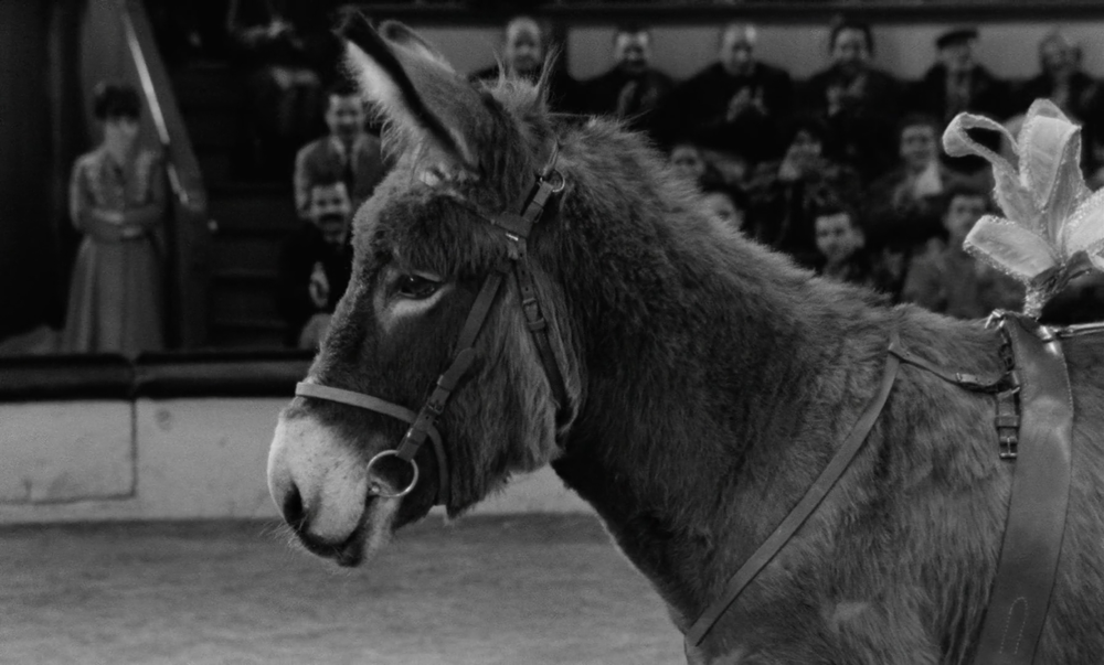 Au Hasard Balthazar, directed by Robert Bresson — A-BitterSweet-Life Studios