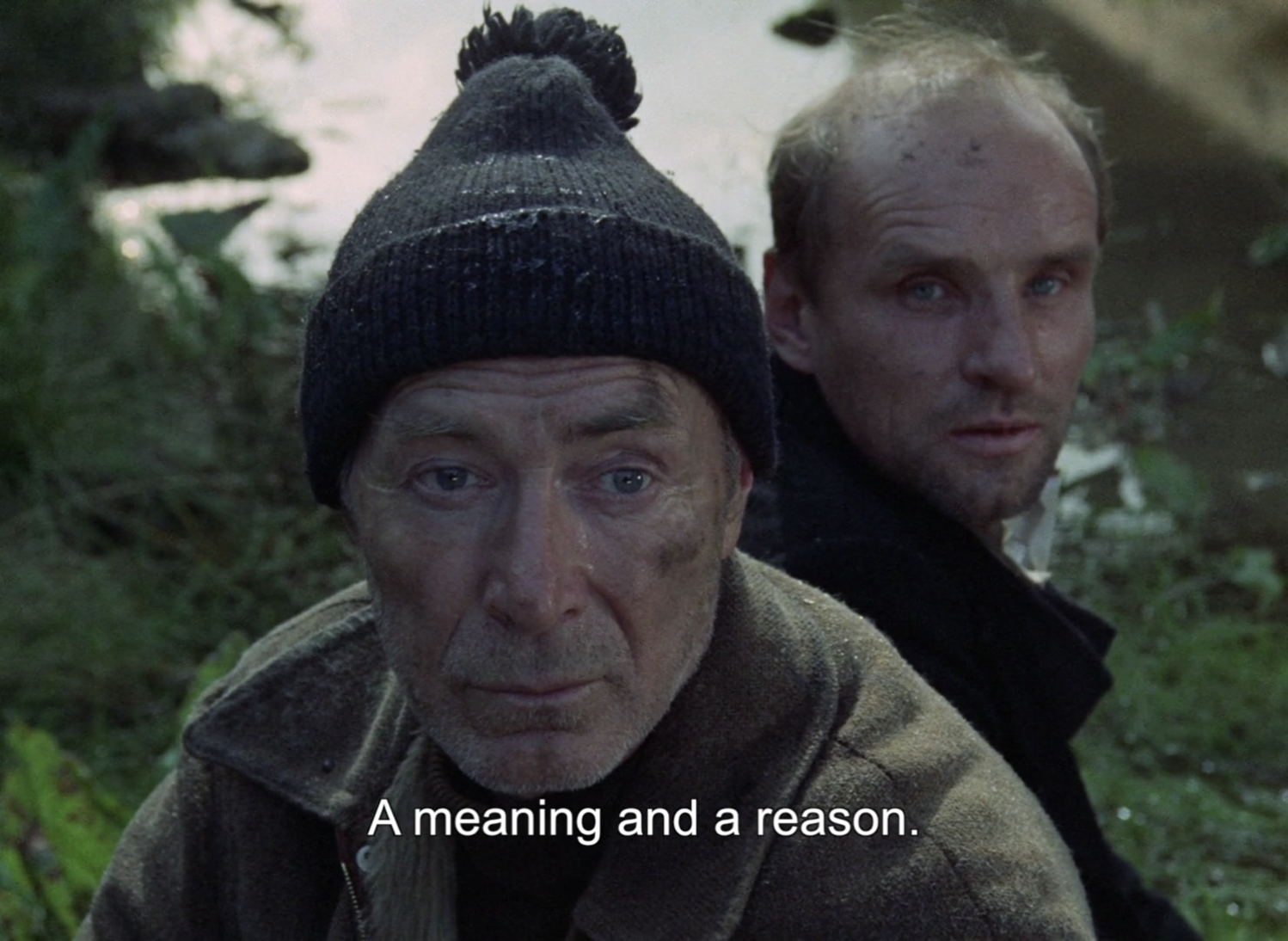 Andrei Tarkovsky Stalker A Meaning And A Reason A-BitterSweet-Life Cinematic Poetry 5.png