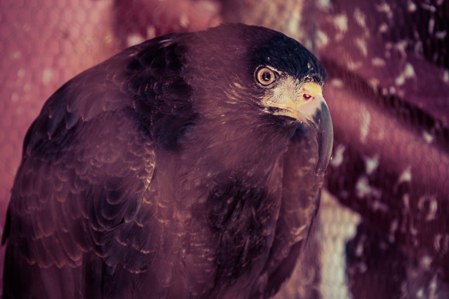 Cuba 2010_ Wil Bignal-8232.jpg