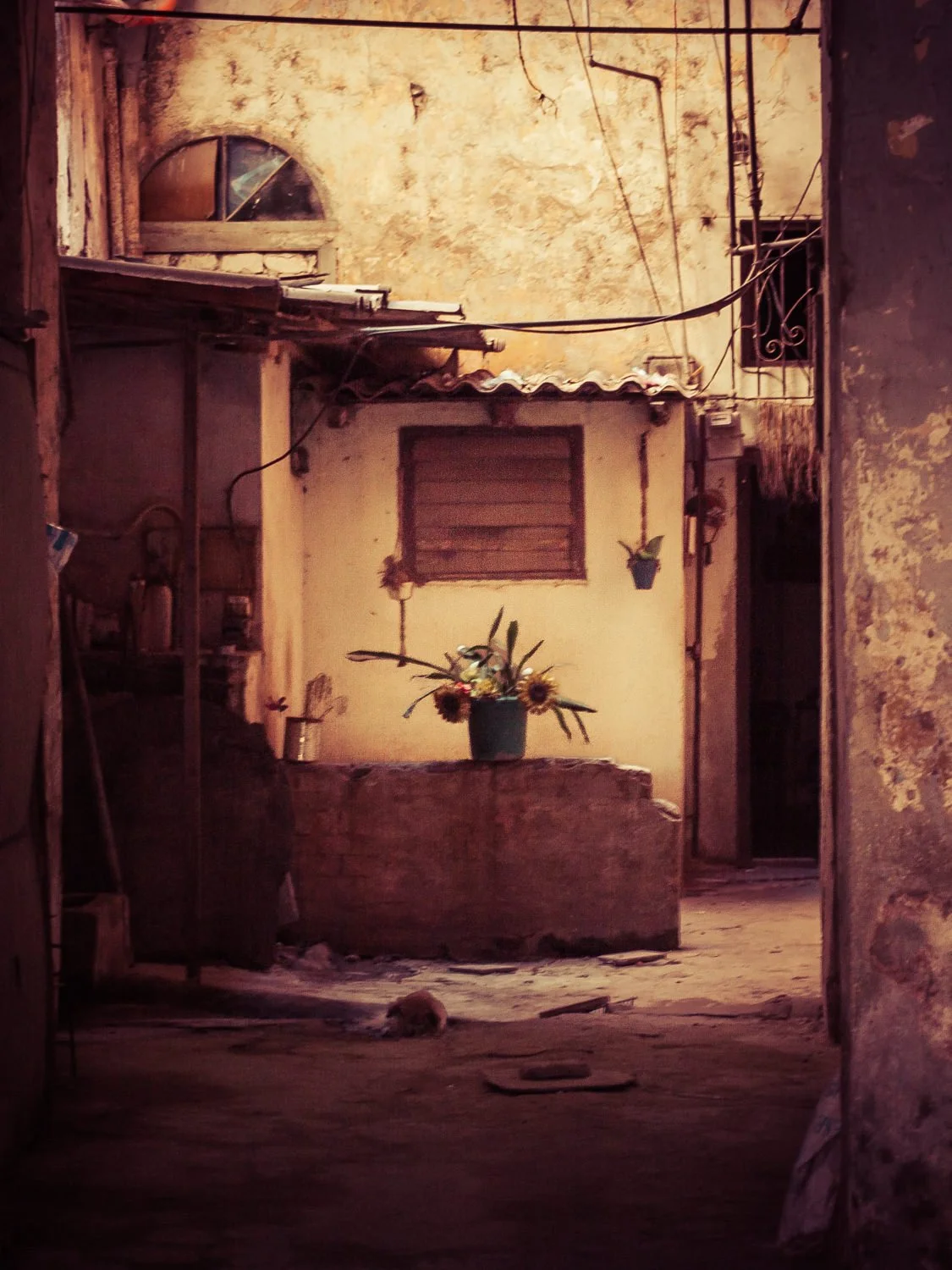 Cuba 2010_ Wil Bignal-.jpg