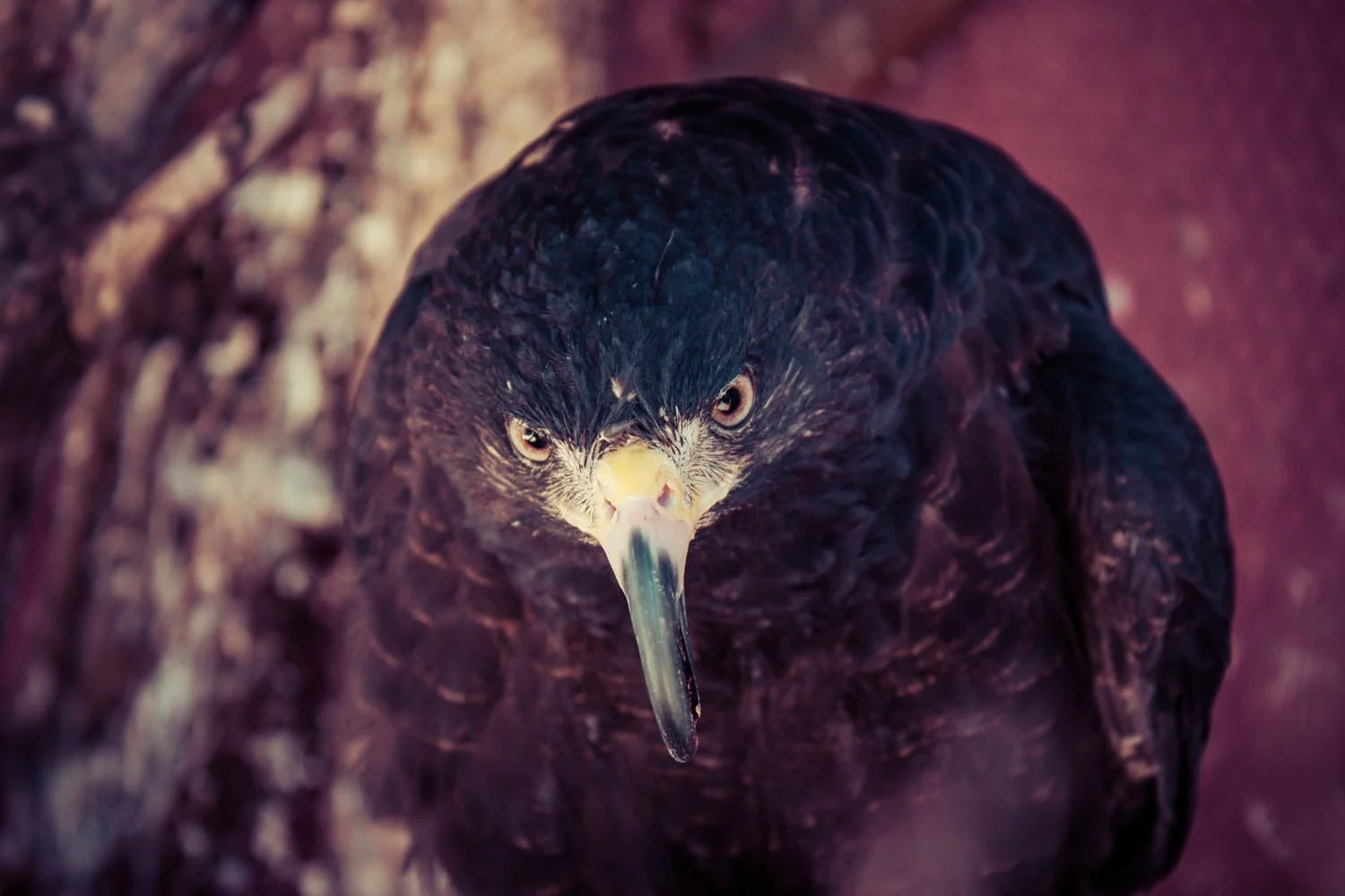 Cuba 2010_ Wil Bignal-8235.jpg