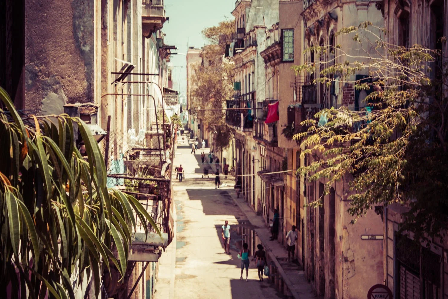 Cuba 2010_ Wil Bignal-8197.jpg