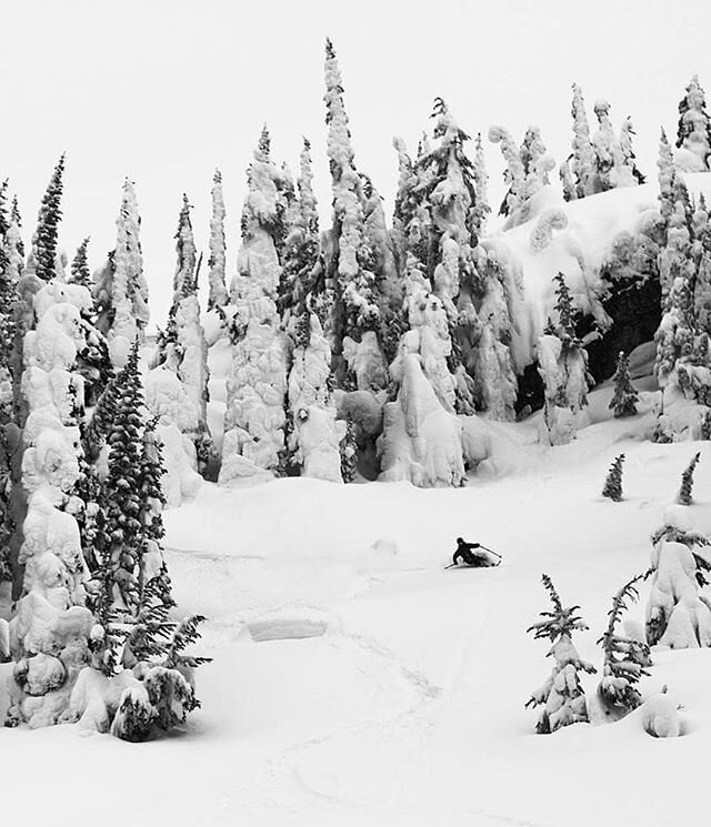 @mtnmatty laying into a deep turn a few winters back.

Merry Christmas &amp; Happy Holidays everyone &hearts;️ Make sure to tell your fam/friends you love them! 🙏
