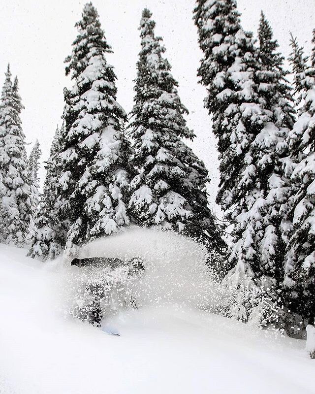 They don't call it Powder King for nothing. 🙏

My first season in skiing our west 5 years ago was a dud. There wasn't any snow, it was all rain. I always saw videos of Powder King getting snow instead of rain, I had a plan to one day shred this cham