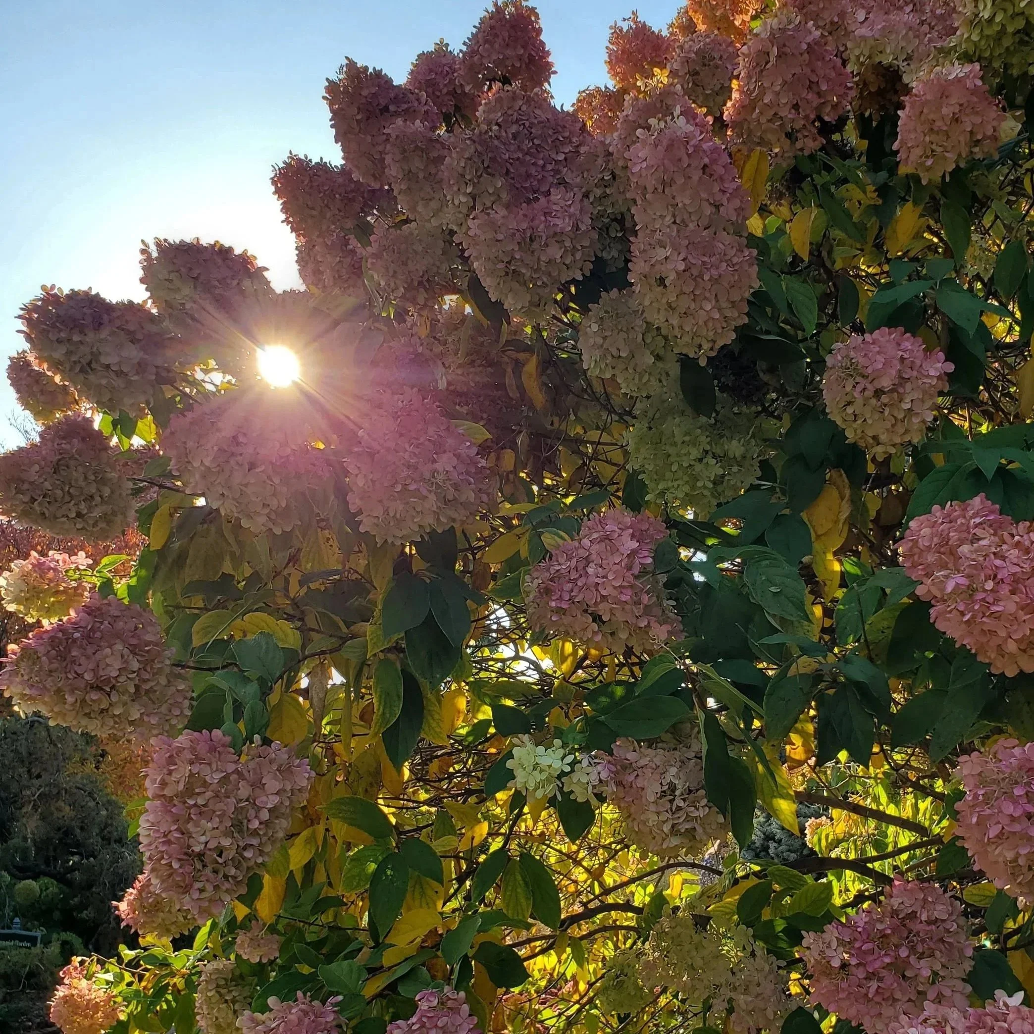 20201008_163038.jpg