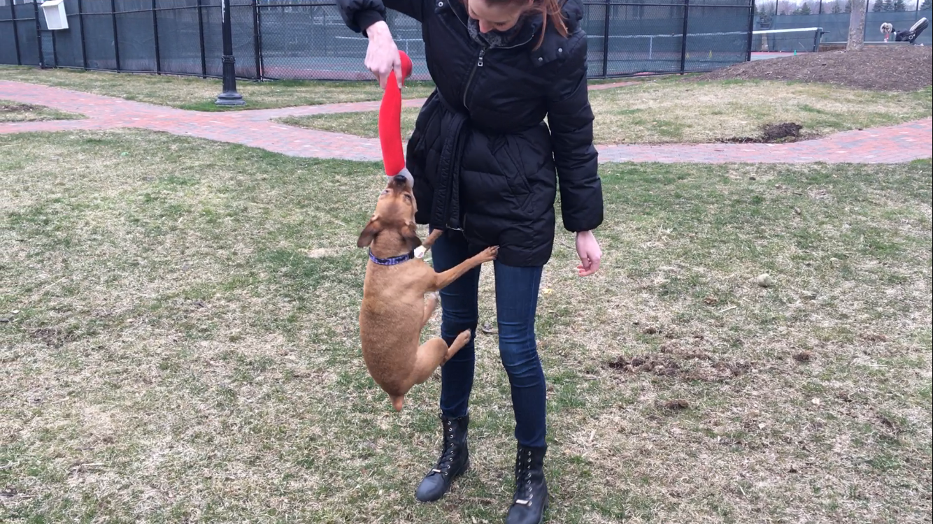  Looks like Bailey is pretty magnetic! 