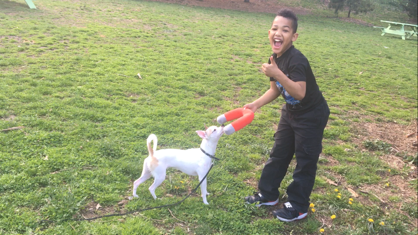  A toy that “connects” kids and their dogs! 
