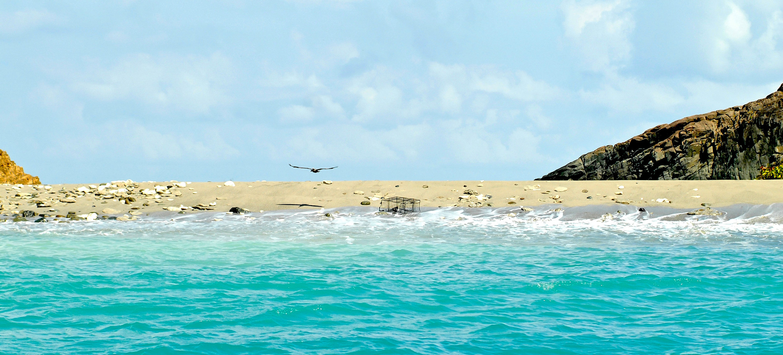 DSC_0047.jpg