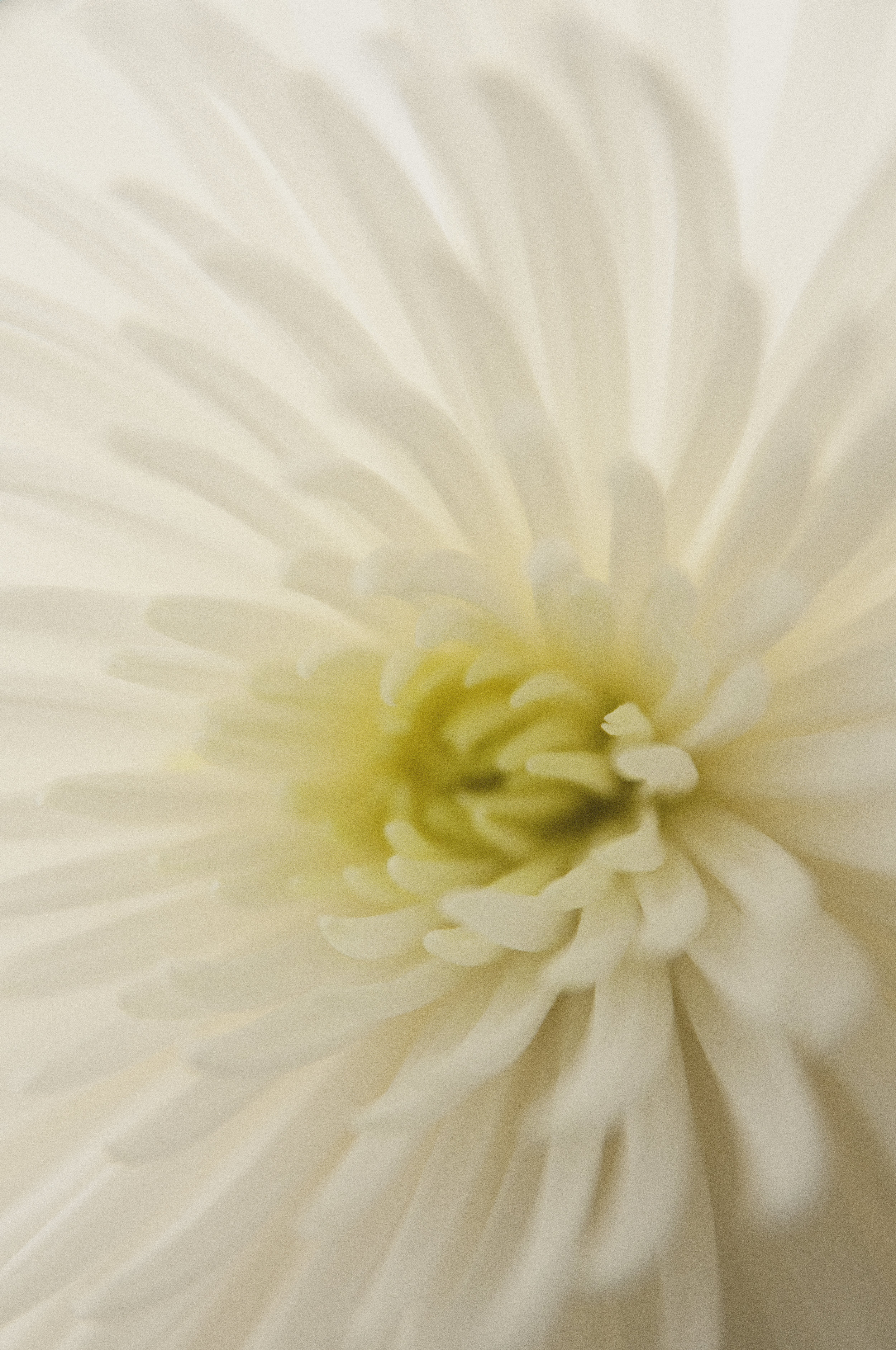 20150128_33252.jpg