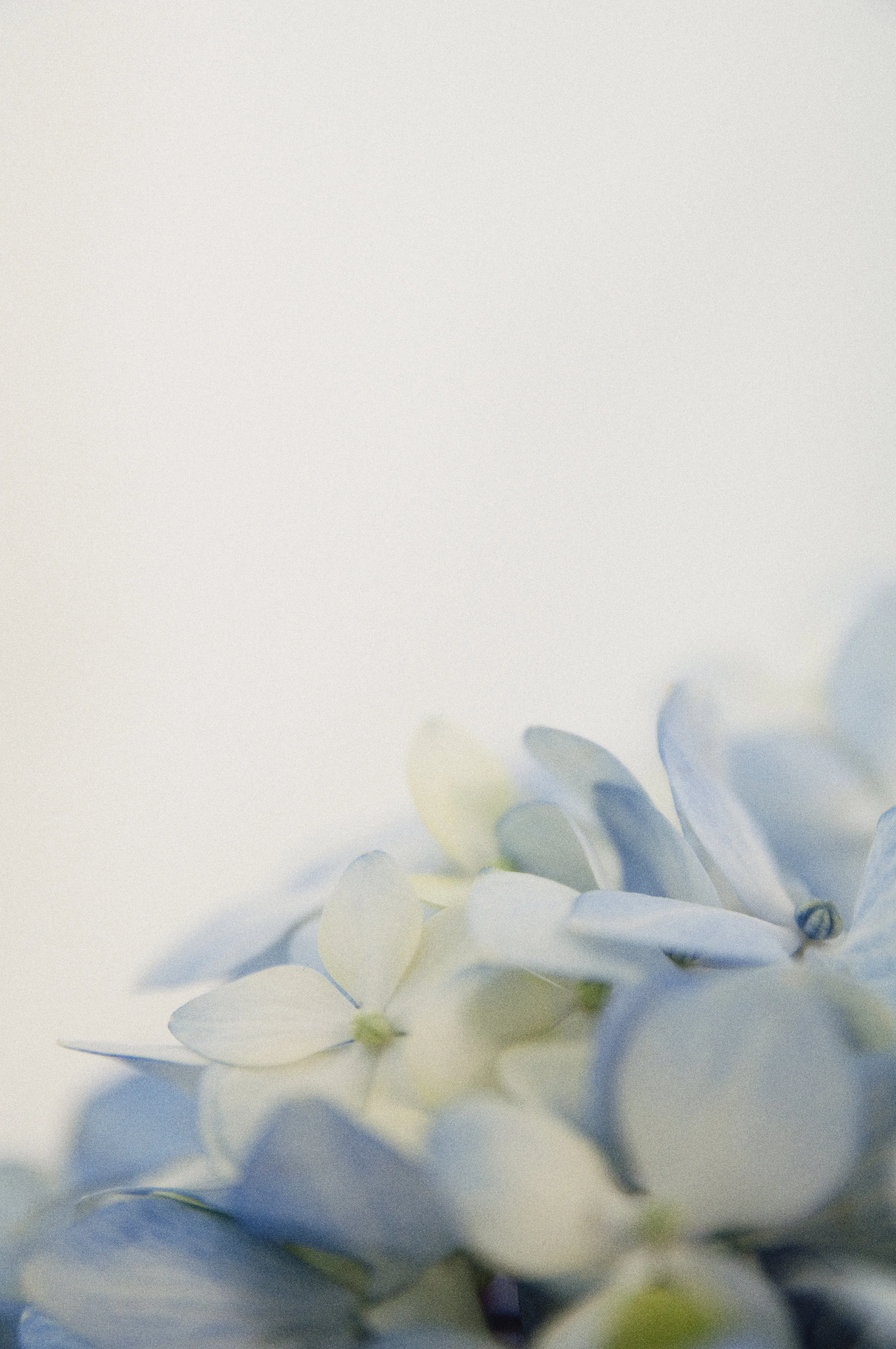 20150128_35652.jpg