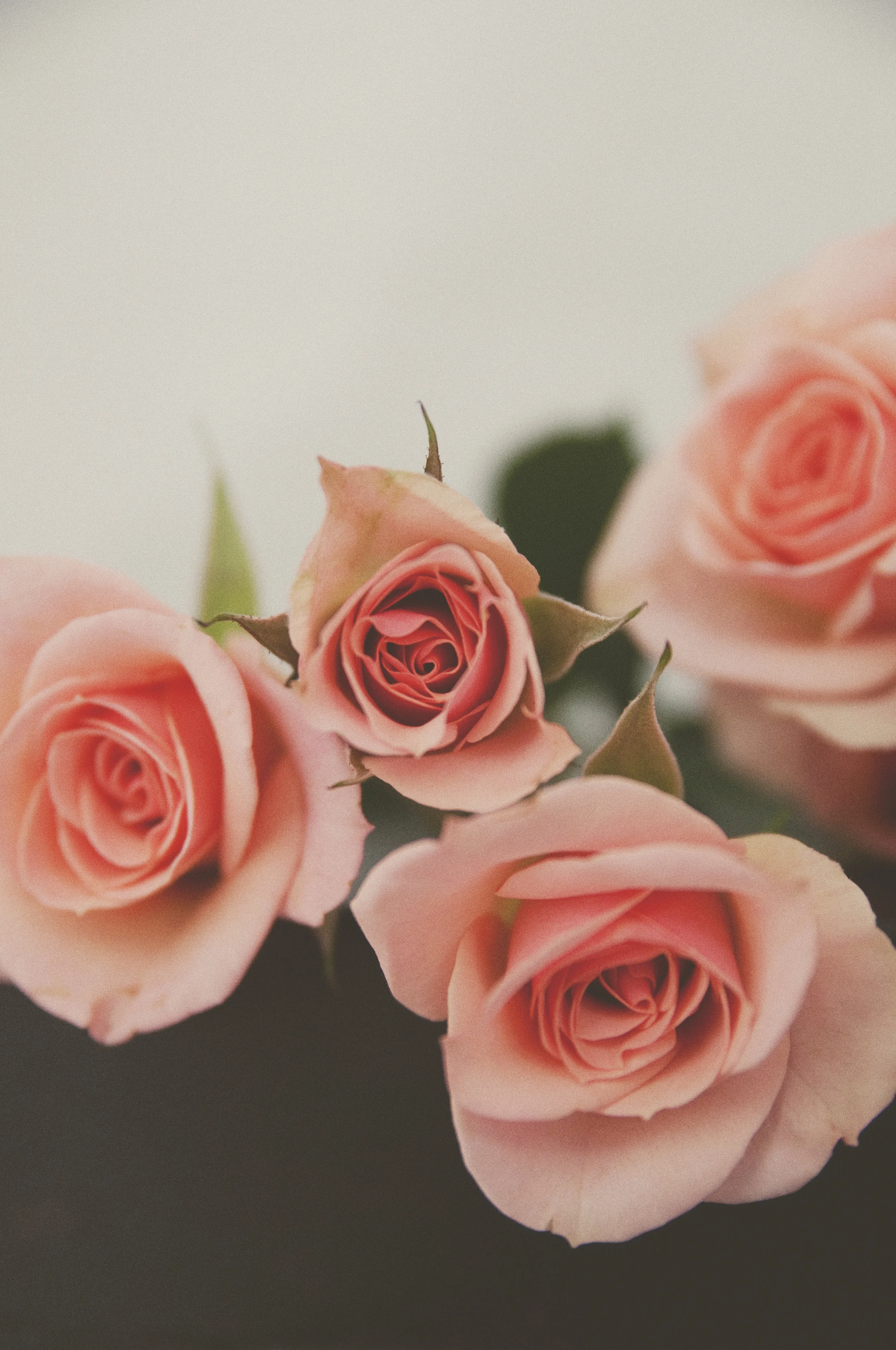 20150128_34872.jpg