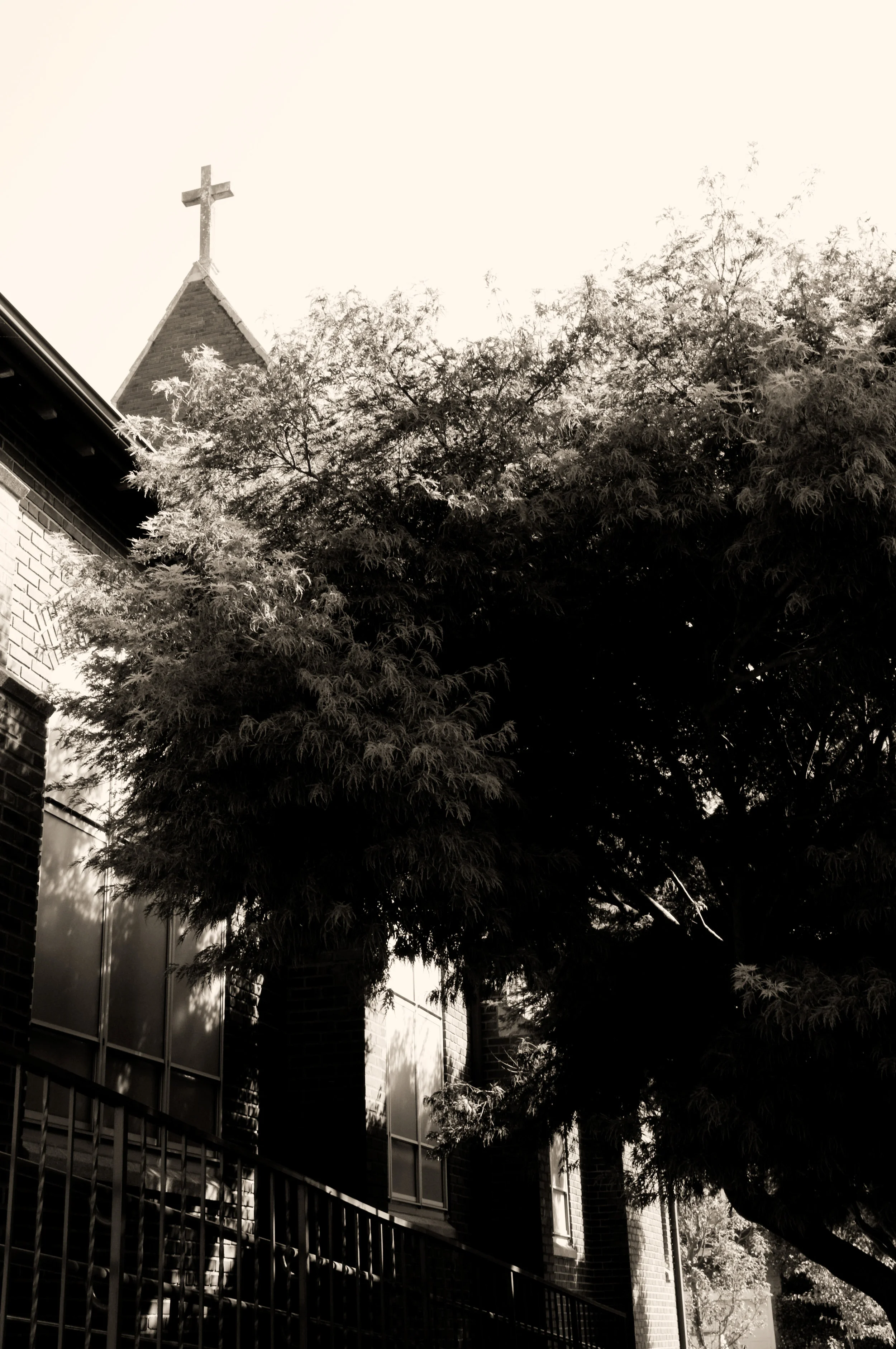 20110910_83372.jpg