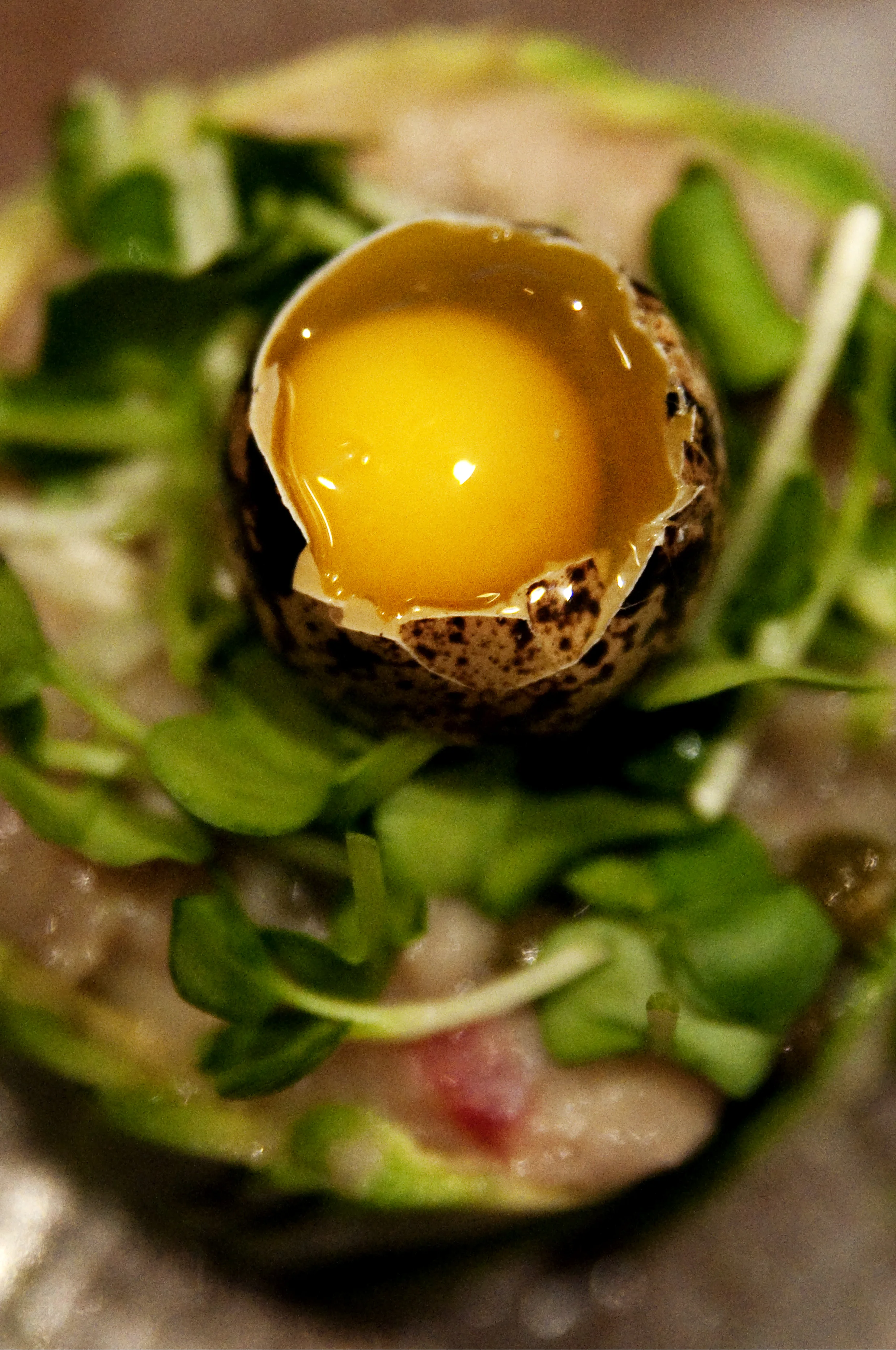 20110428_25422.jpg