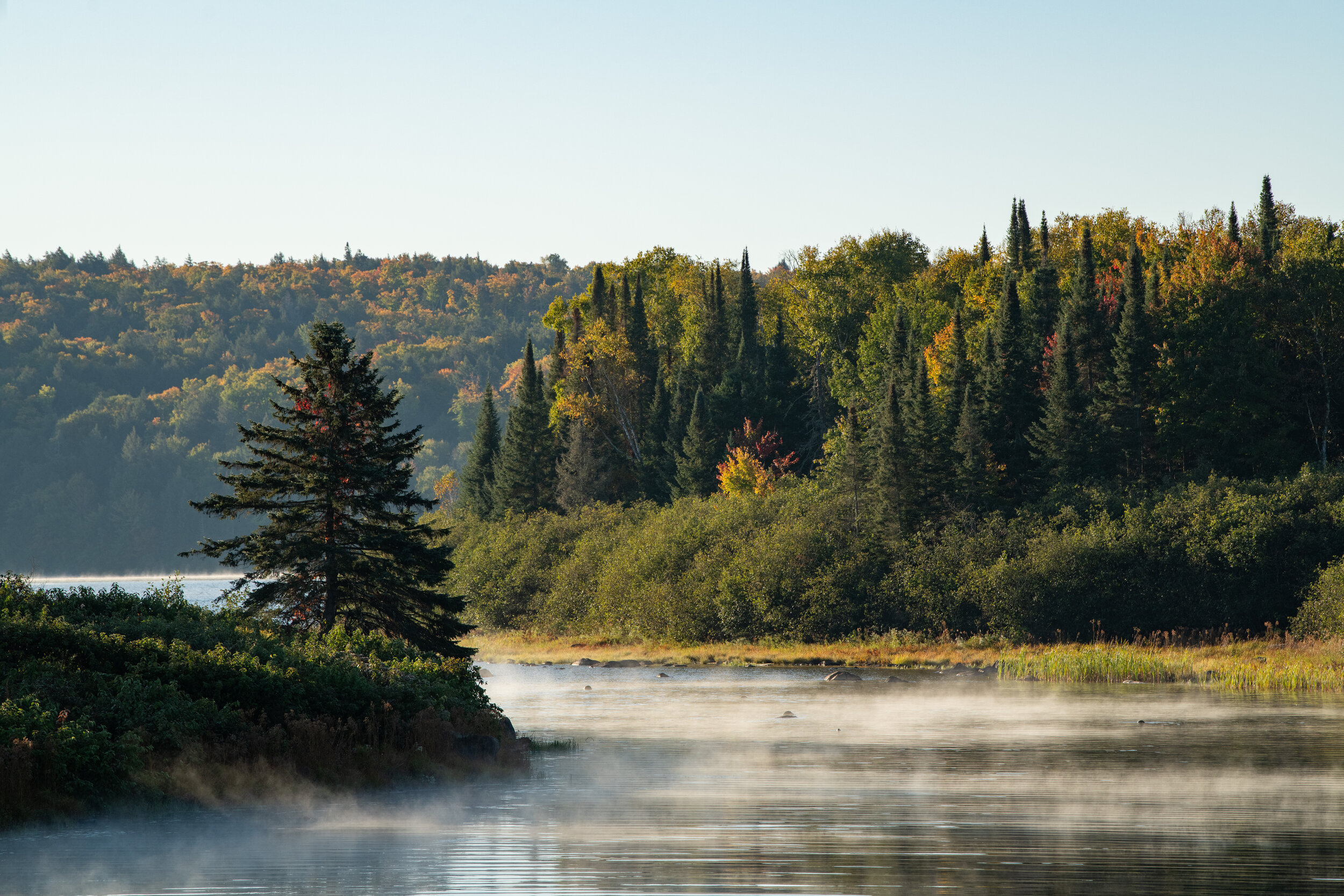 2020_09_AlgonquinExpedition-2980.jpg