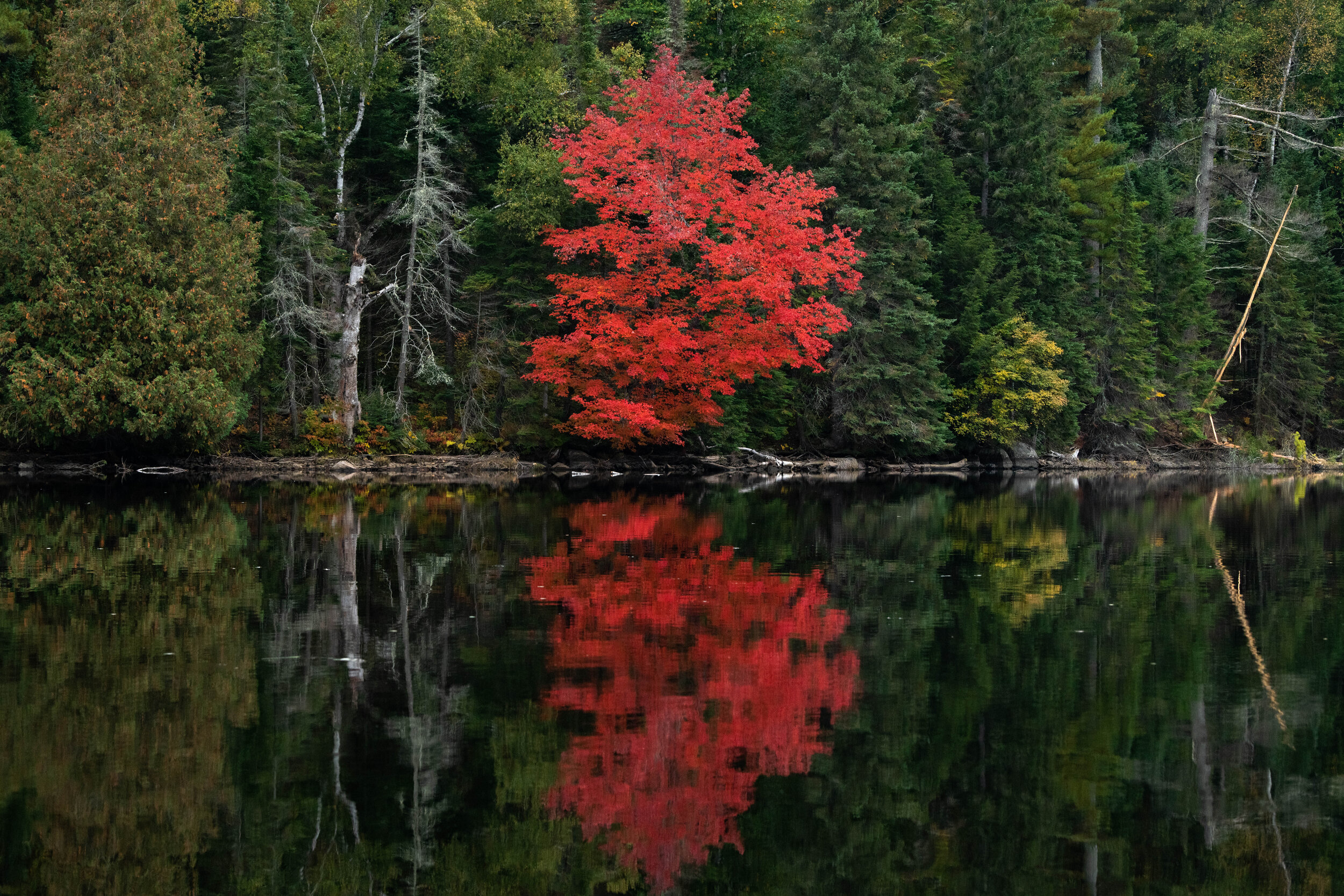 2020_09_AlgonquinExpedition-3860.jpg