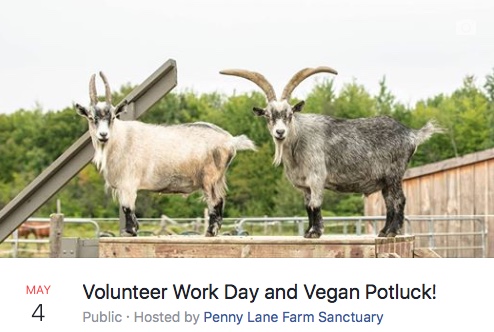 May workday.jpeg