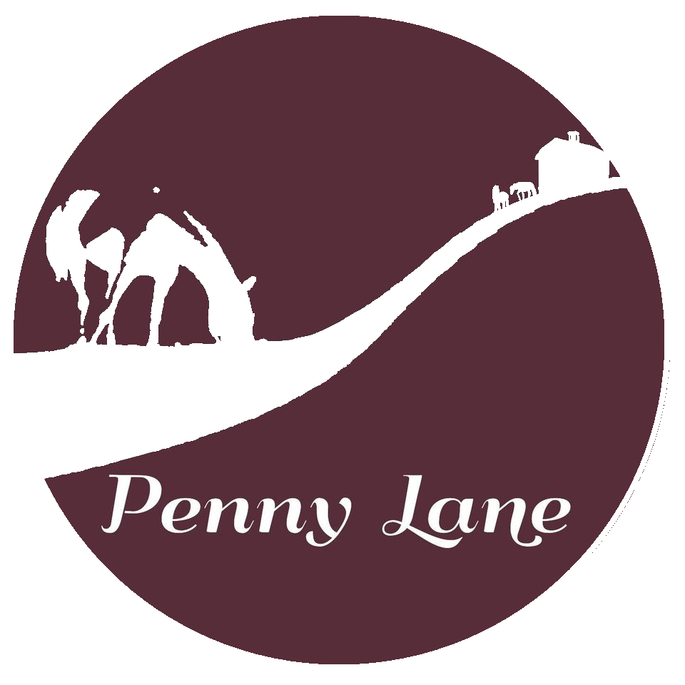 Penny Lane Farm Sanctuary