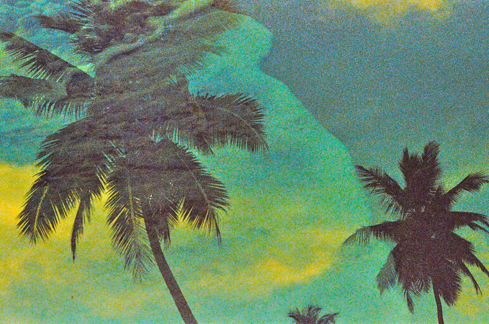 Whispers walk the Water. Cabarete, Dominican Republic.