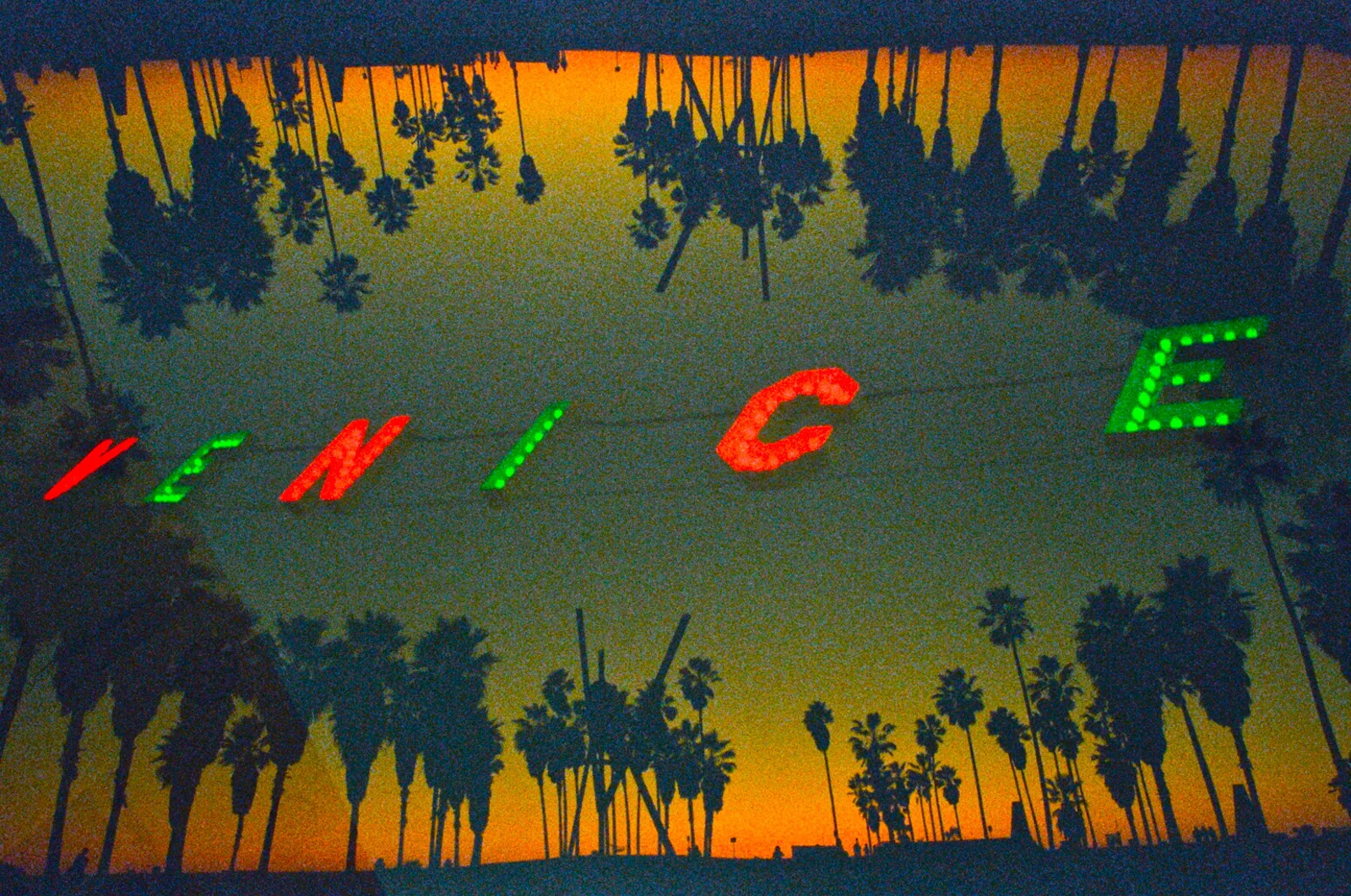 SoCal Lily Pad. Venice, CA.