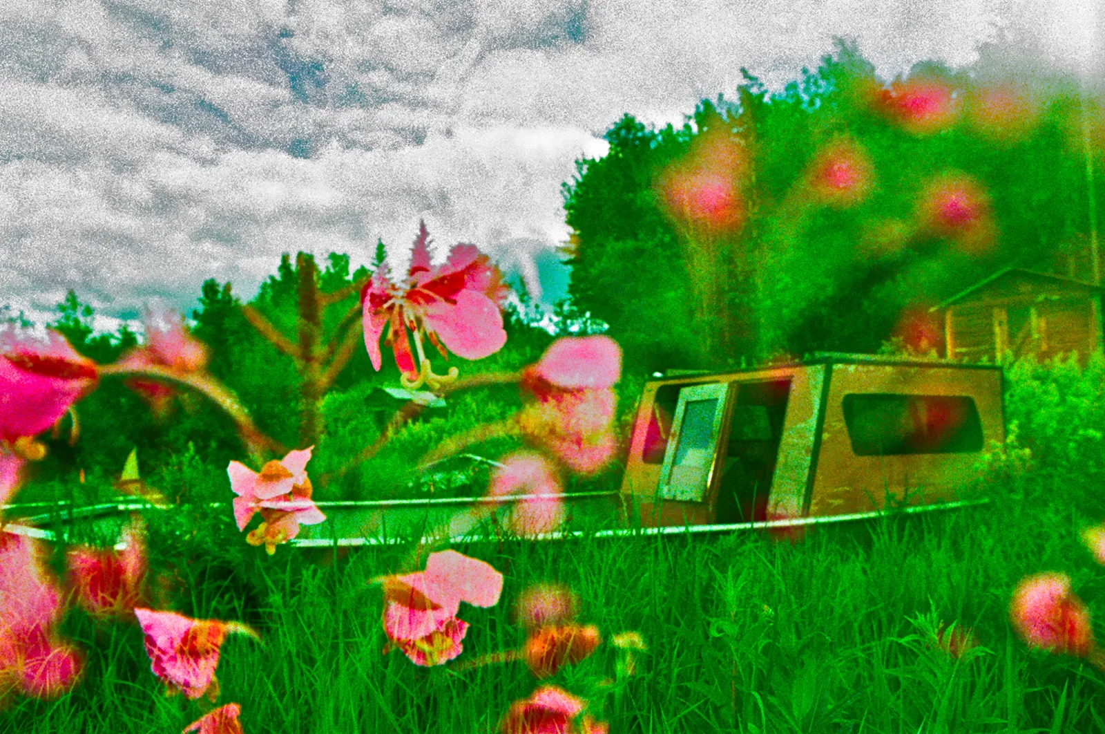 Boat in Bloom. Yukon Territory Alaska.