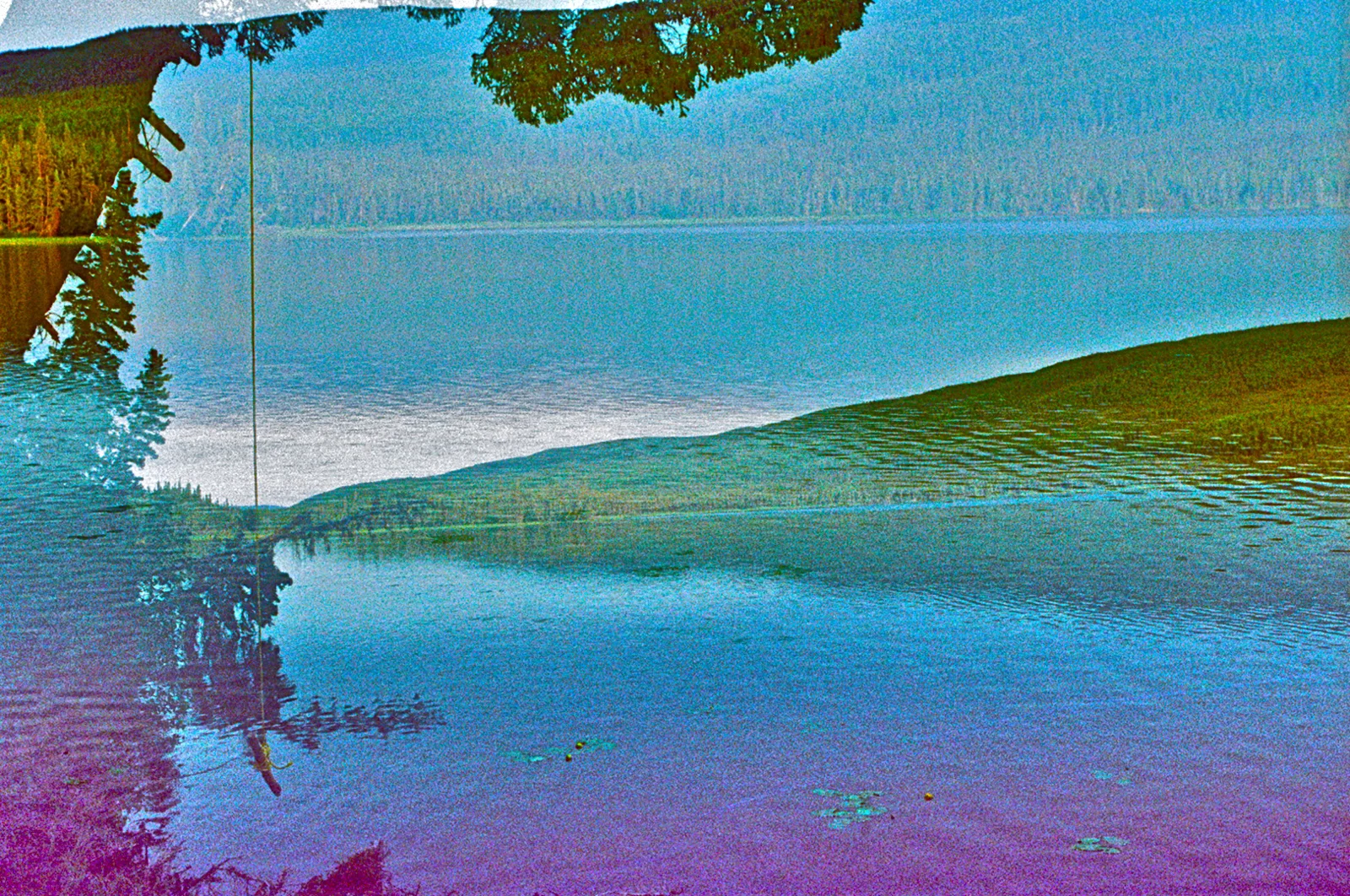 Rope Swings of Curiosity. Fish Lake, Tanana, Alaska.
