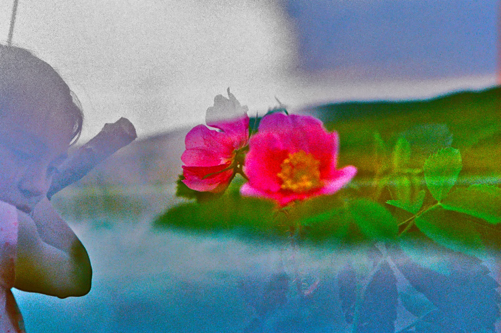 Innocence. Yukon River, Alaska.